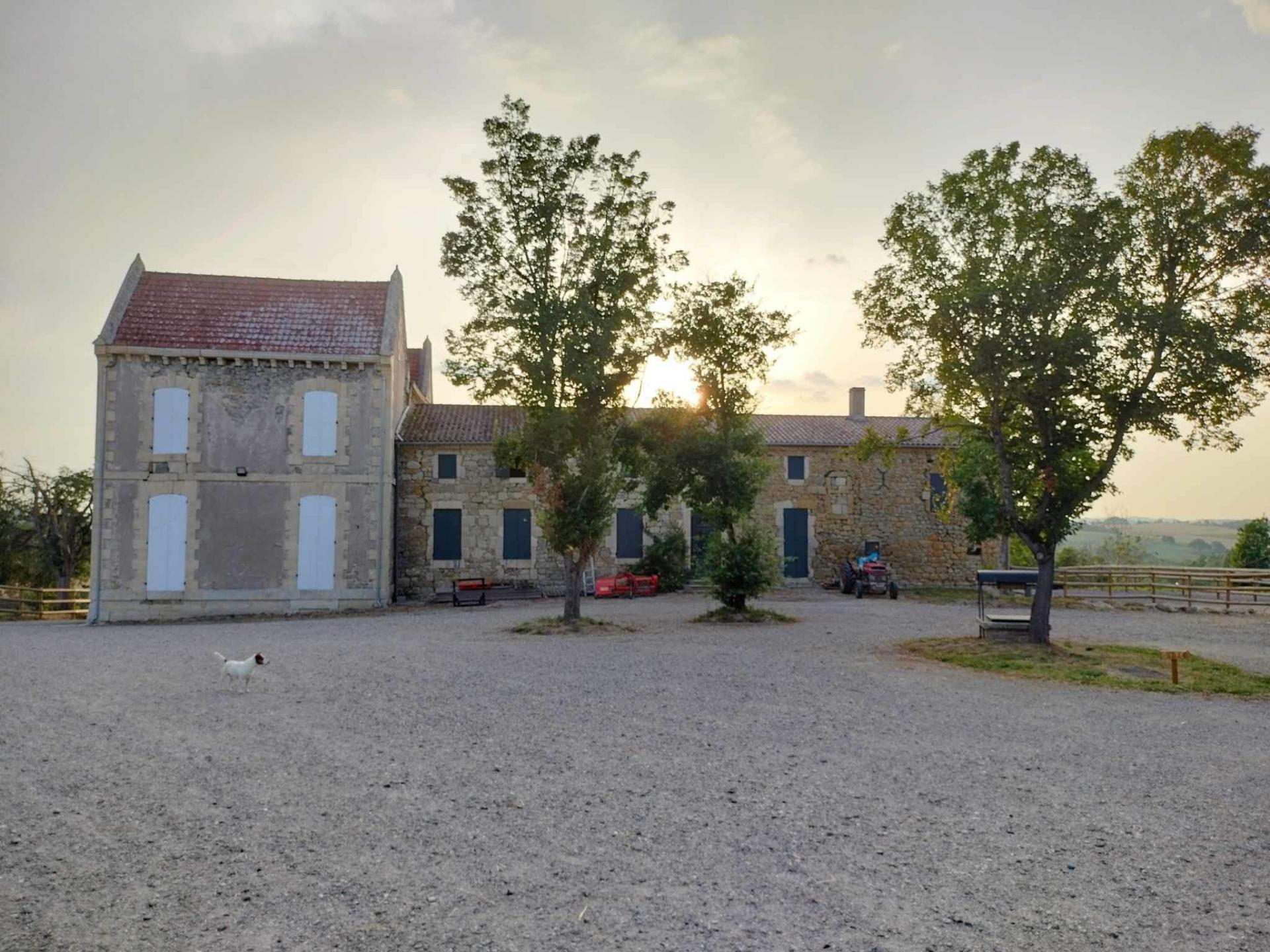 Photo 19 de l'annonce.