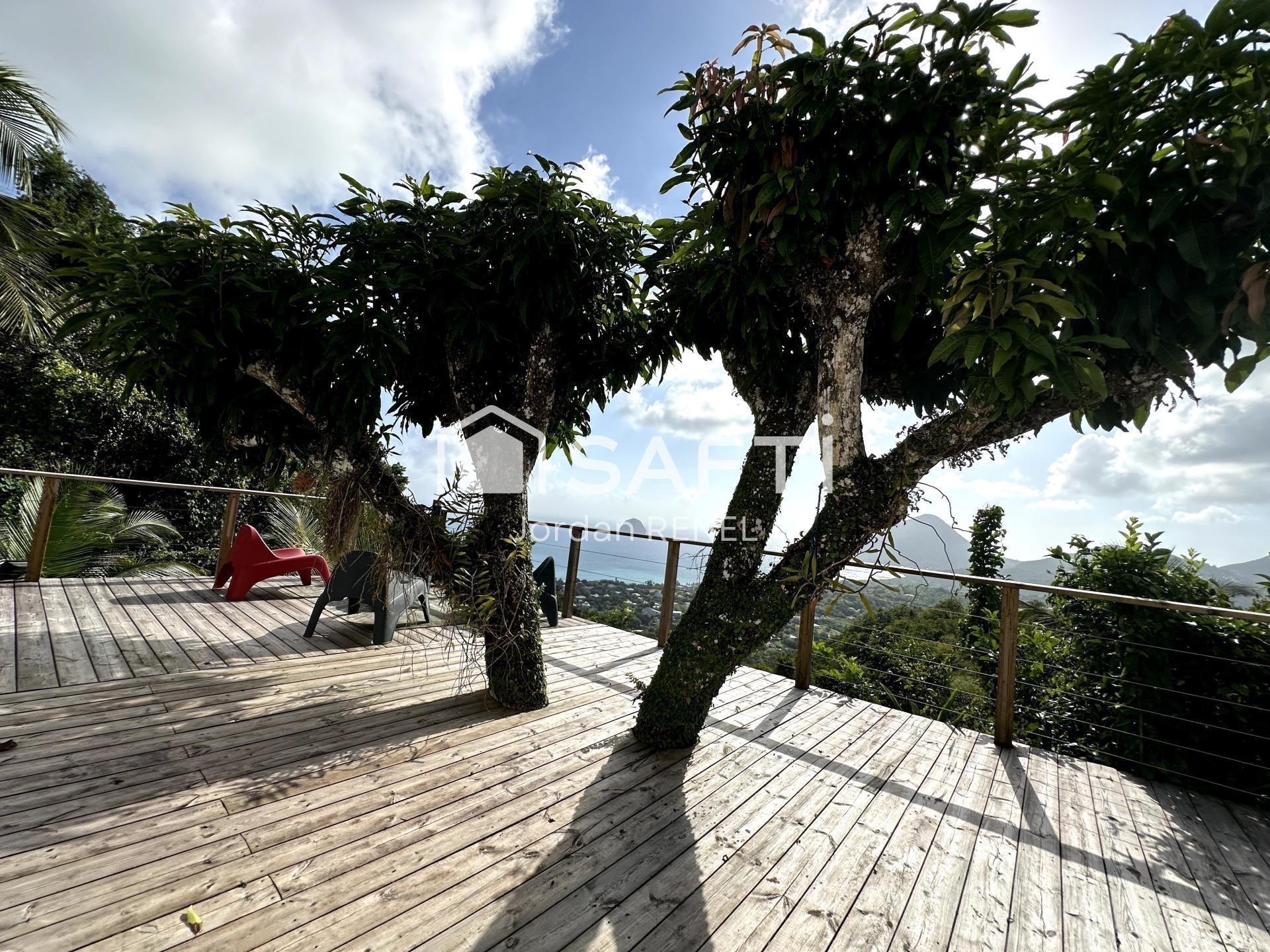 Photo 7 de l'annonce.