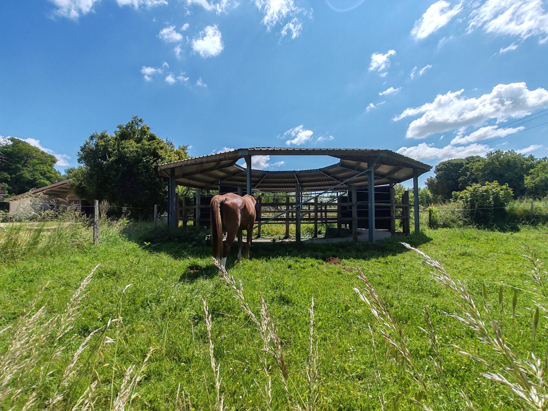 Photo 21 de l'annonce.