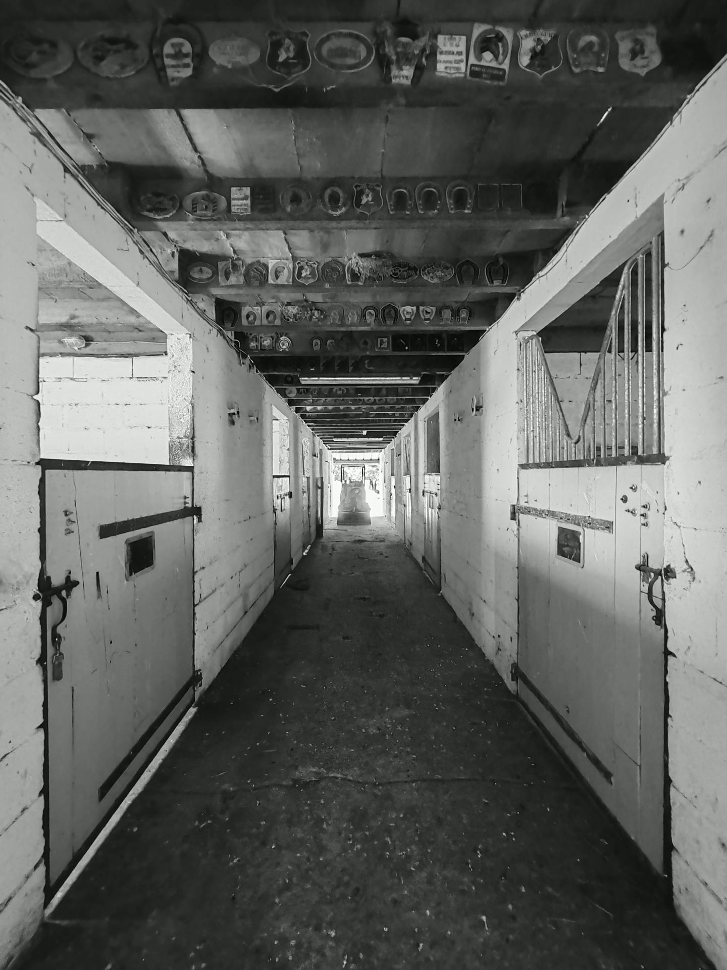 Photo 18 de l'annonce.