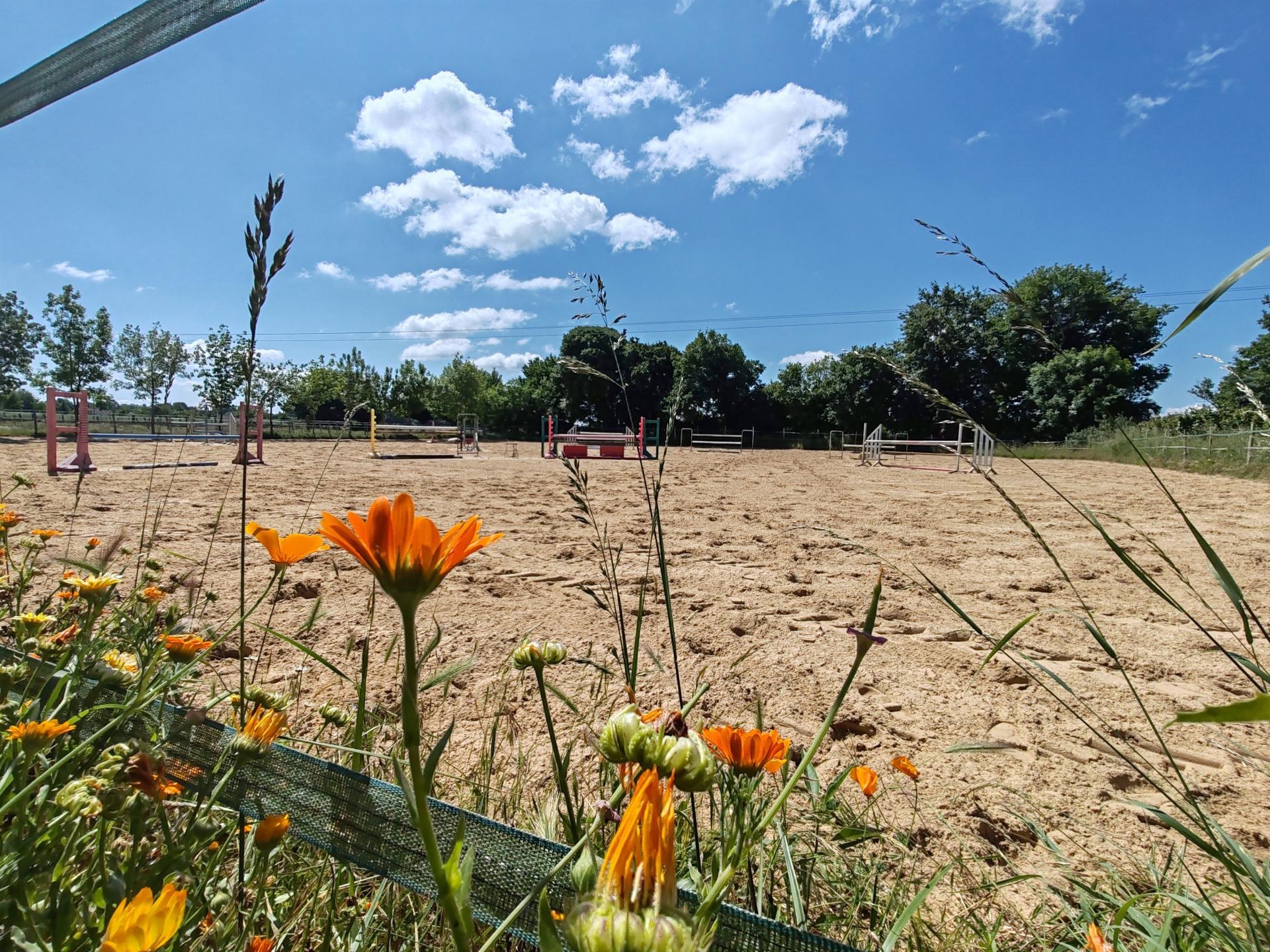 Photo 22 de l'annonce.