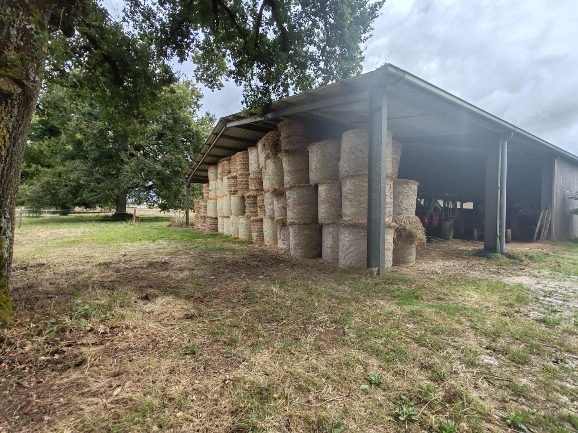 Photo 24 de l'annonce.