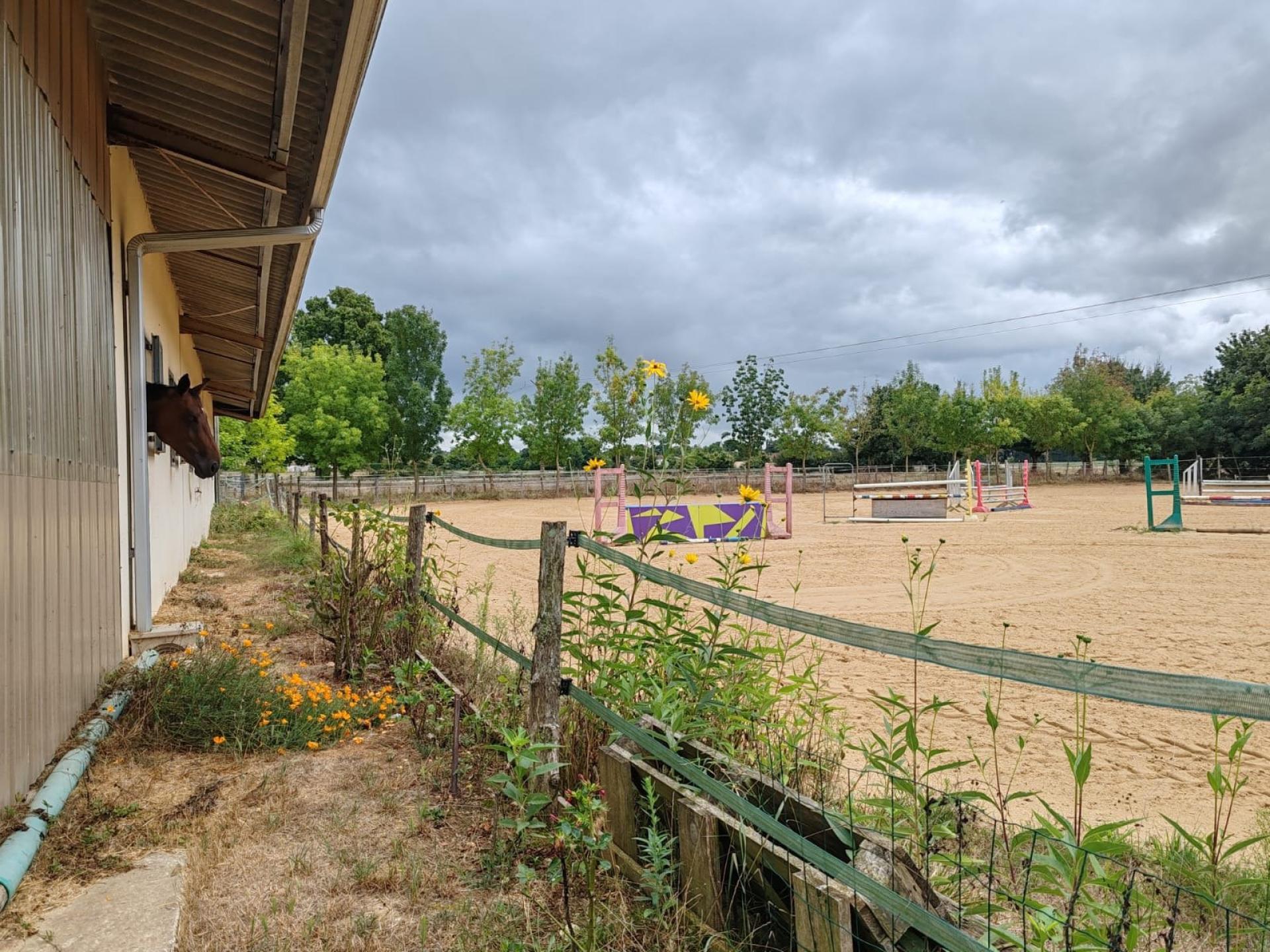 Photo 28 de l'annonce.