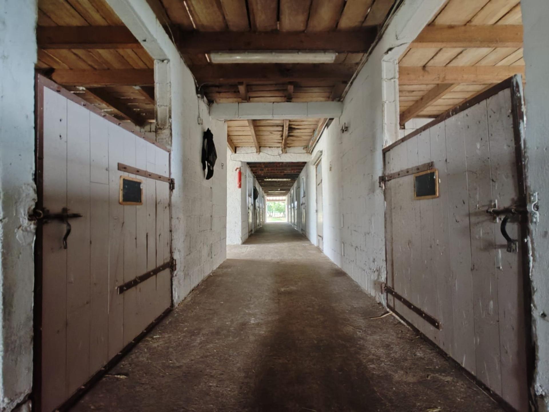 Photo 25 de l'annonce.