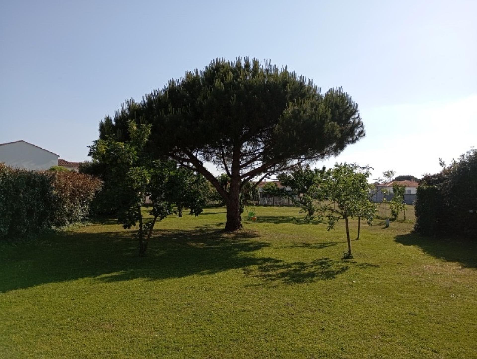 Photo 3 de l'annonce.