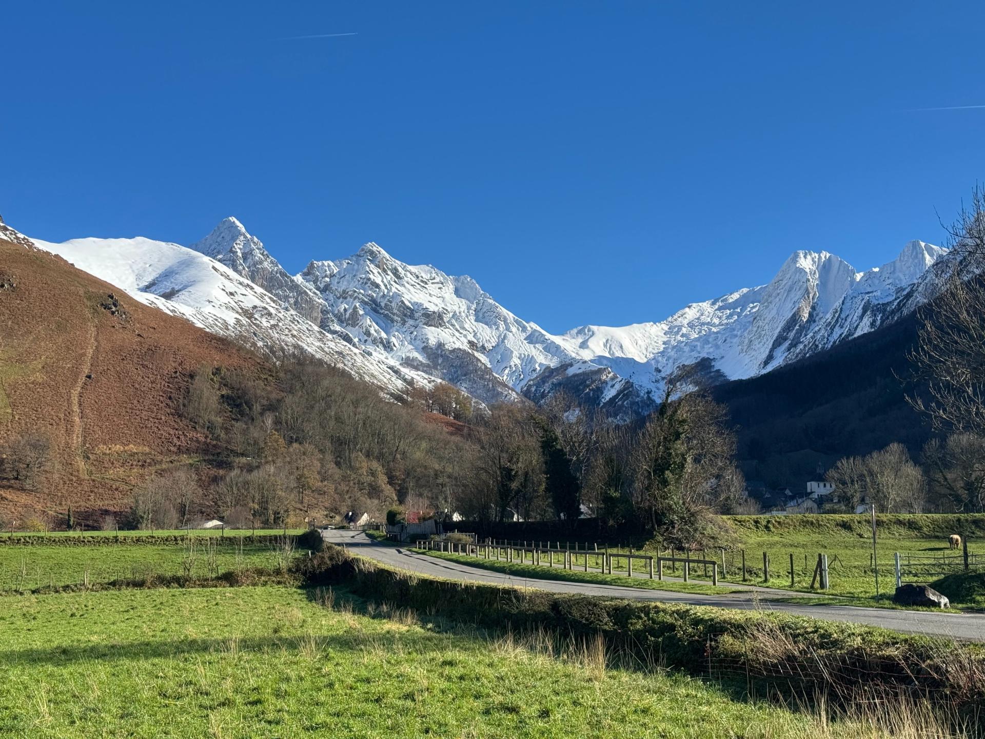 Photo 12 of the listing.