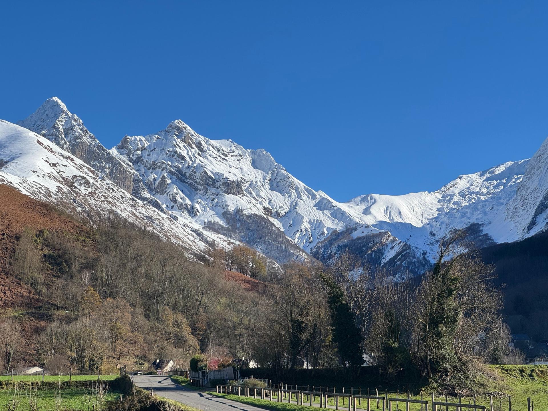 Photo 13 of the listing.