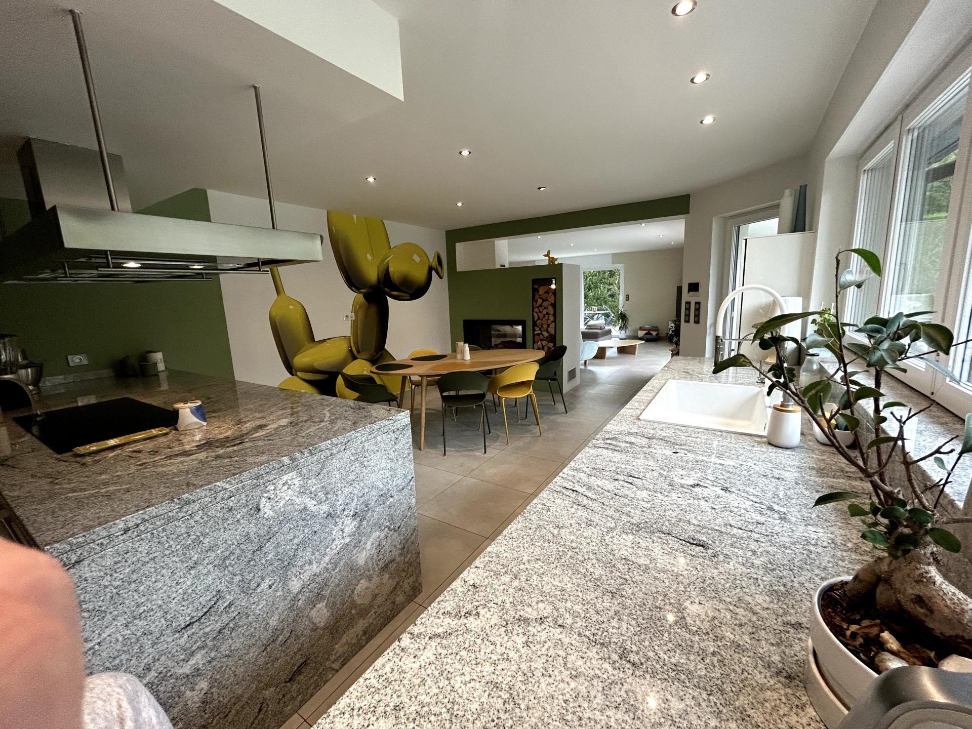 Photo 11 de l'annonce.