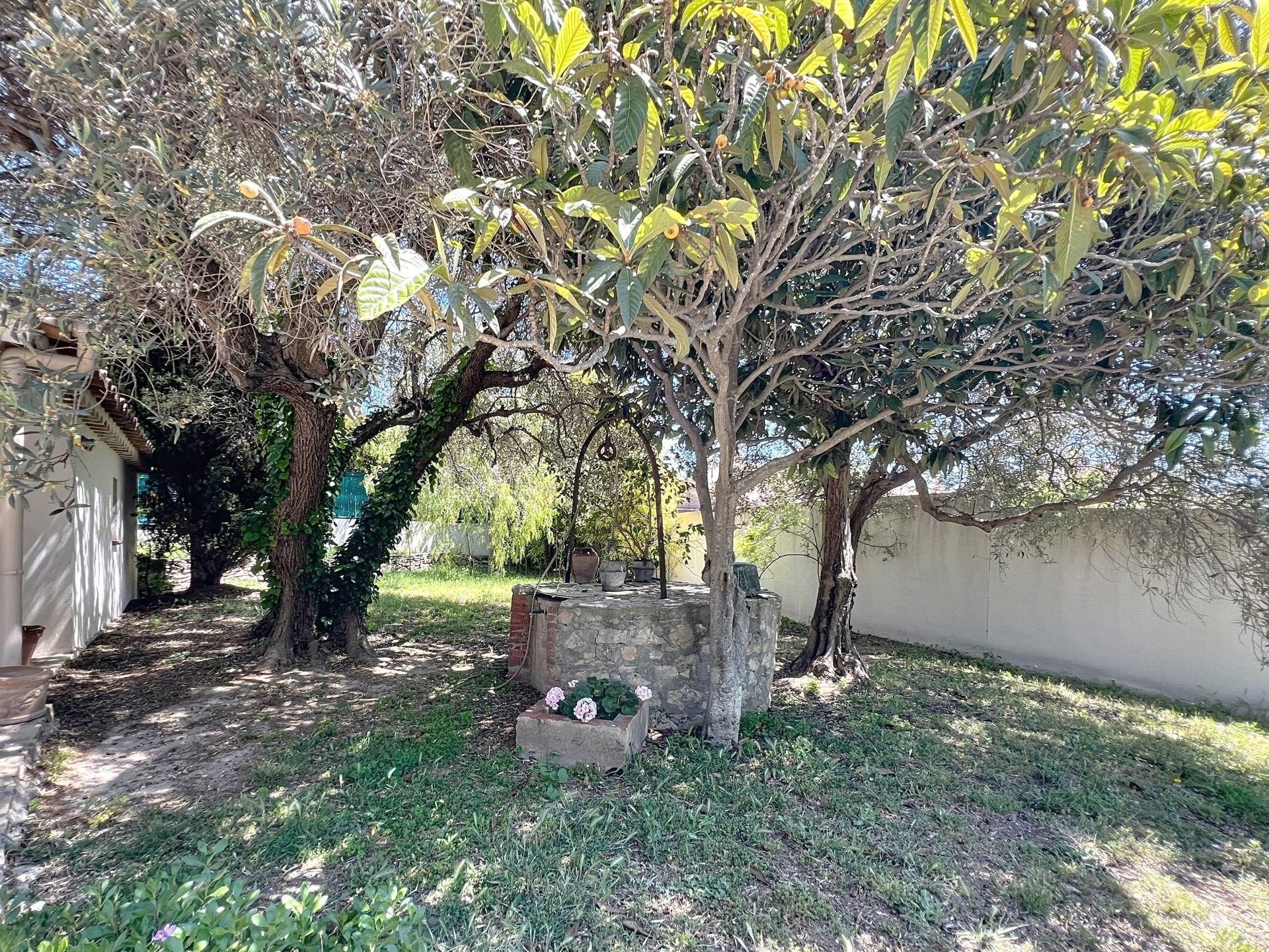 Photo 4 de l'annonce.