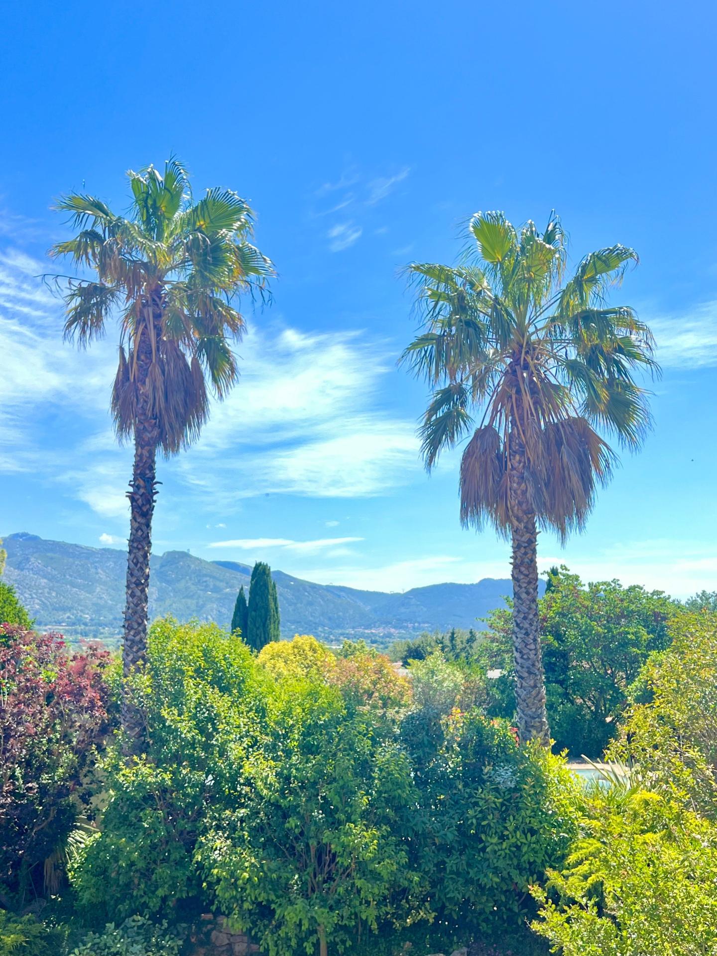 Photo 4 of the listing.