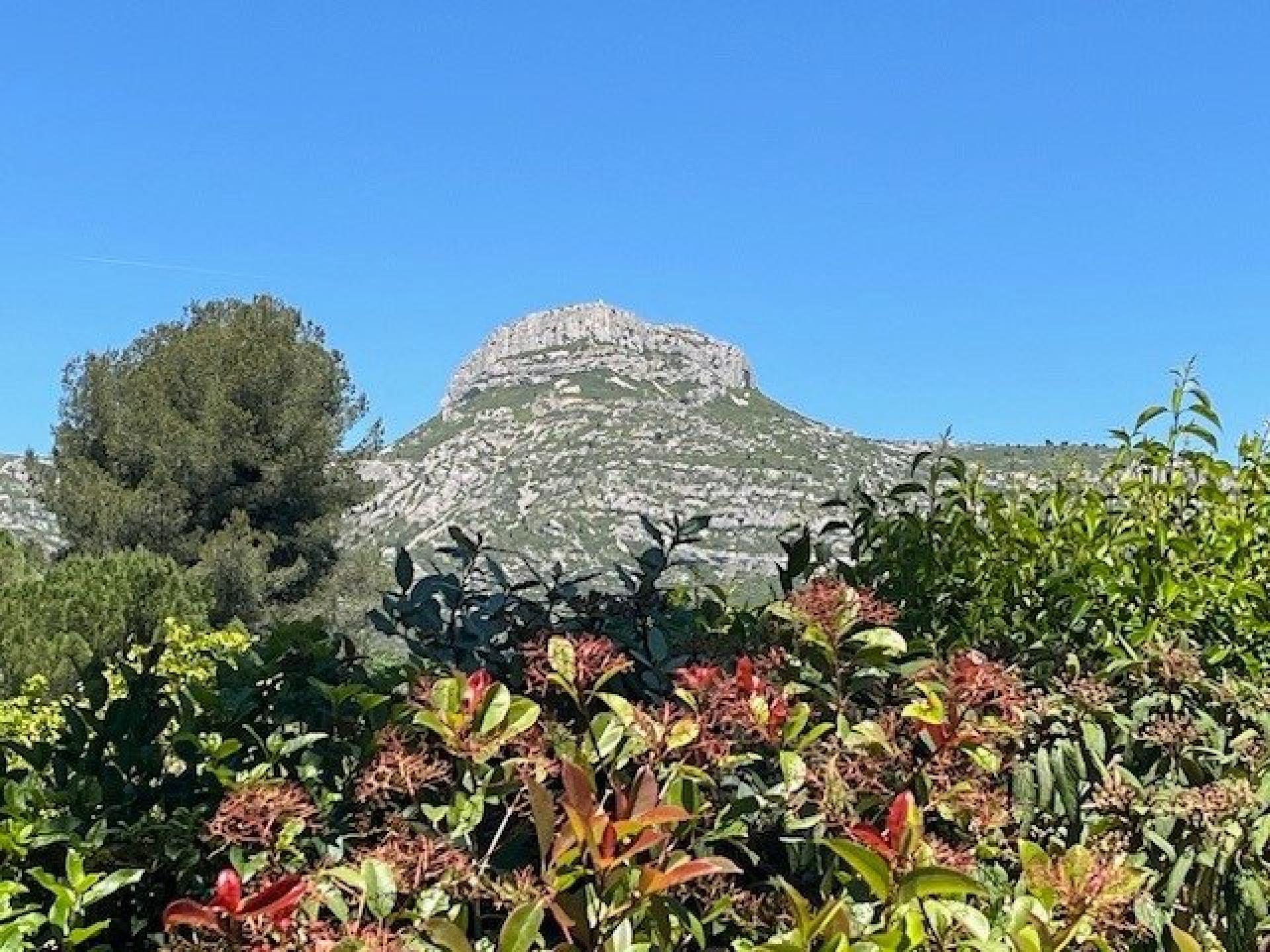 Photo 7 of the listing.