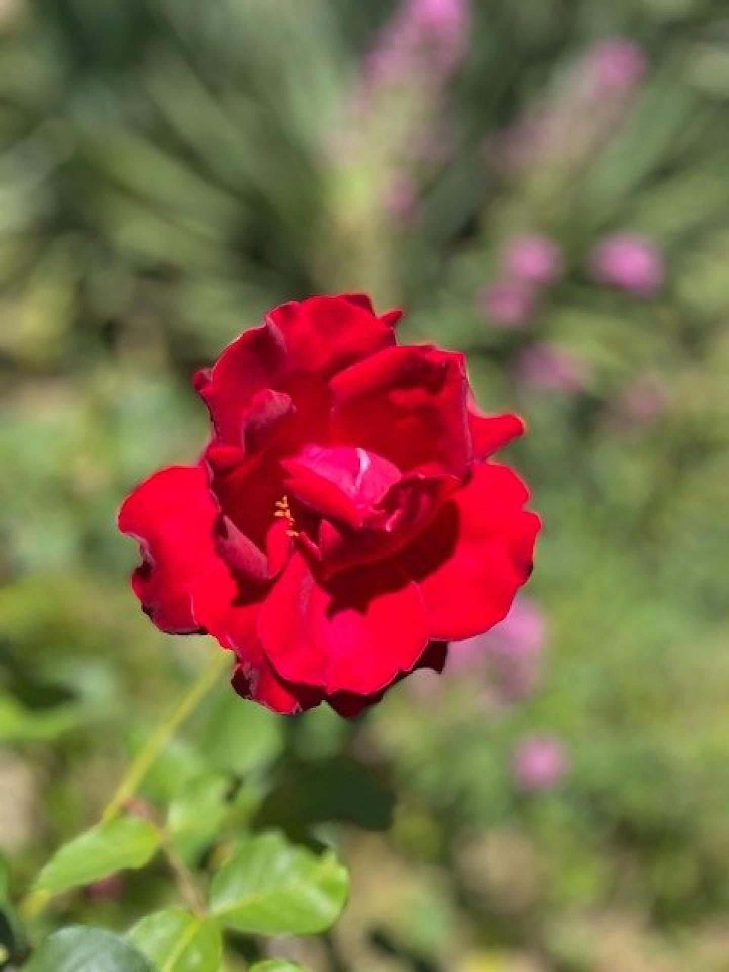 Photo 17 of the listing.