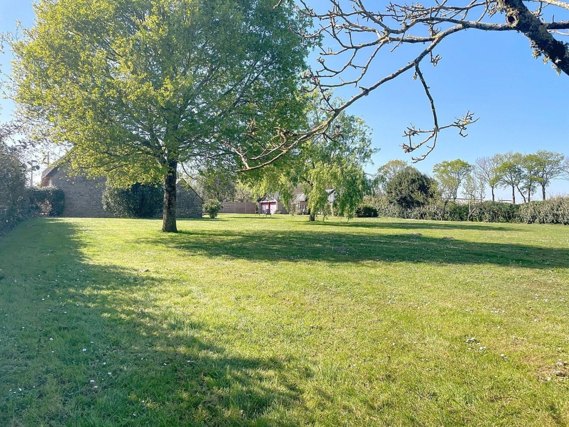 Photo 7 de l'annonce.