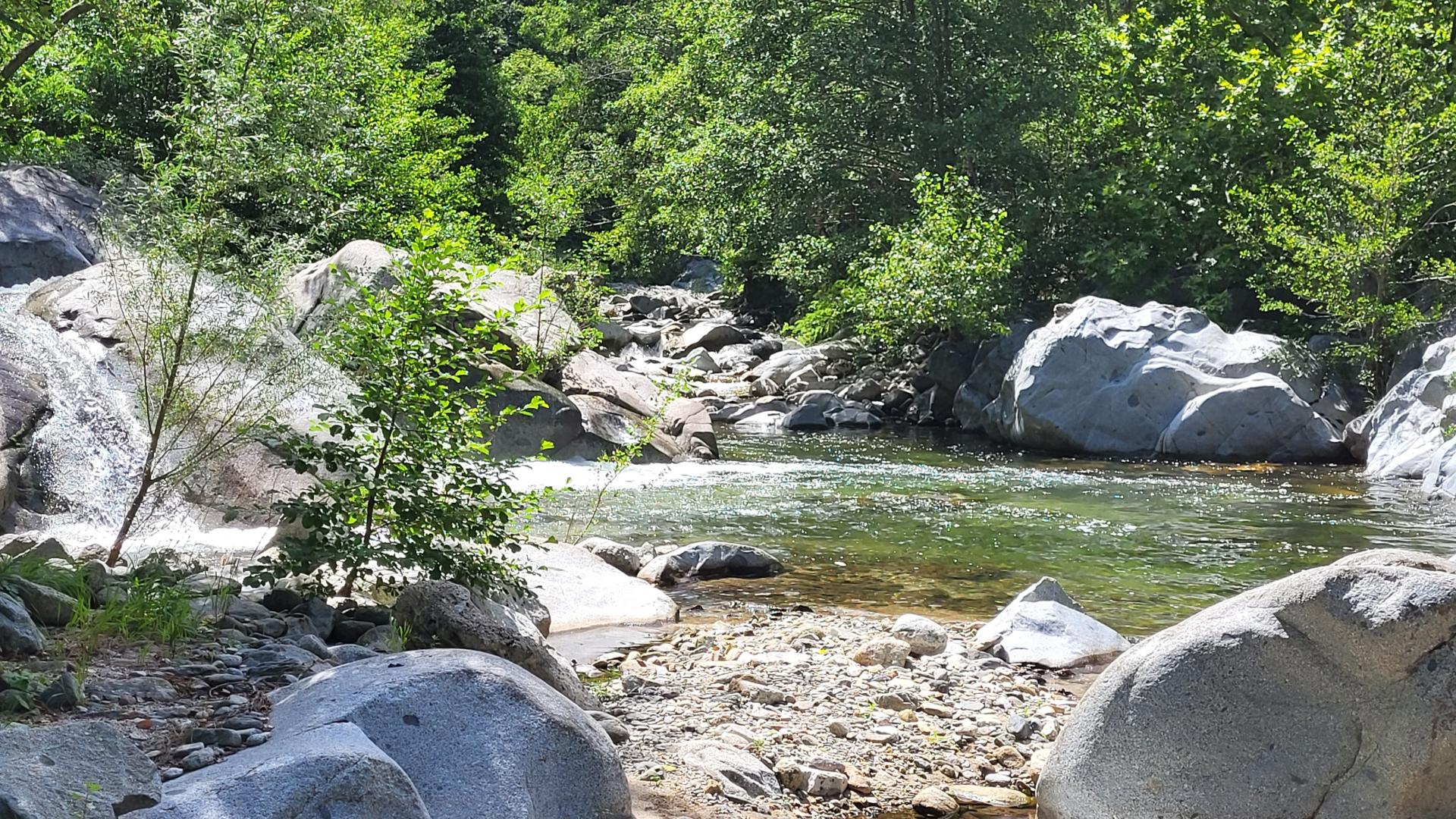 Photo 3 de l'annonce.