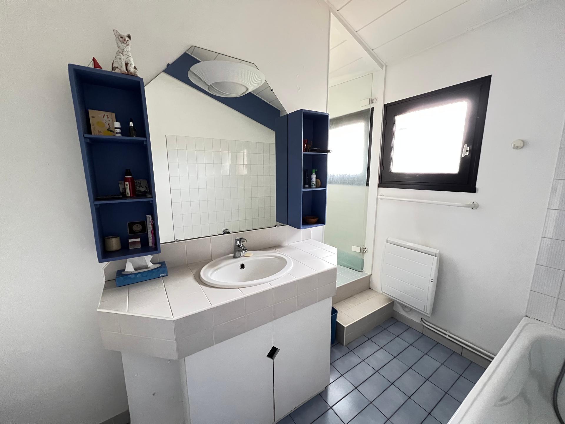 Photo 10 de l'annonce.