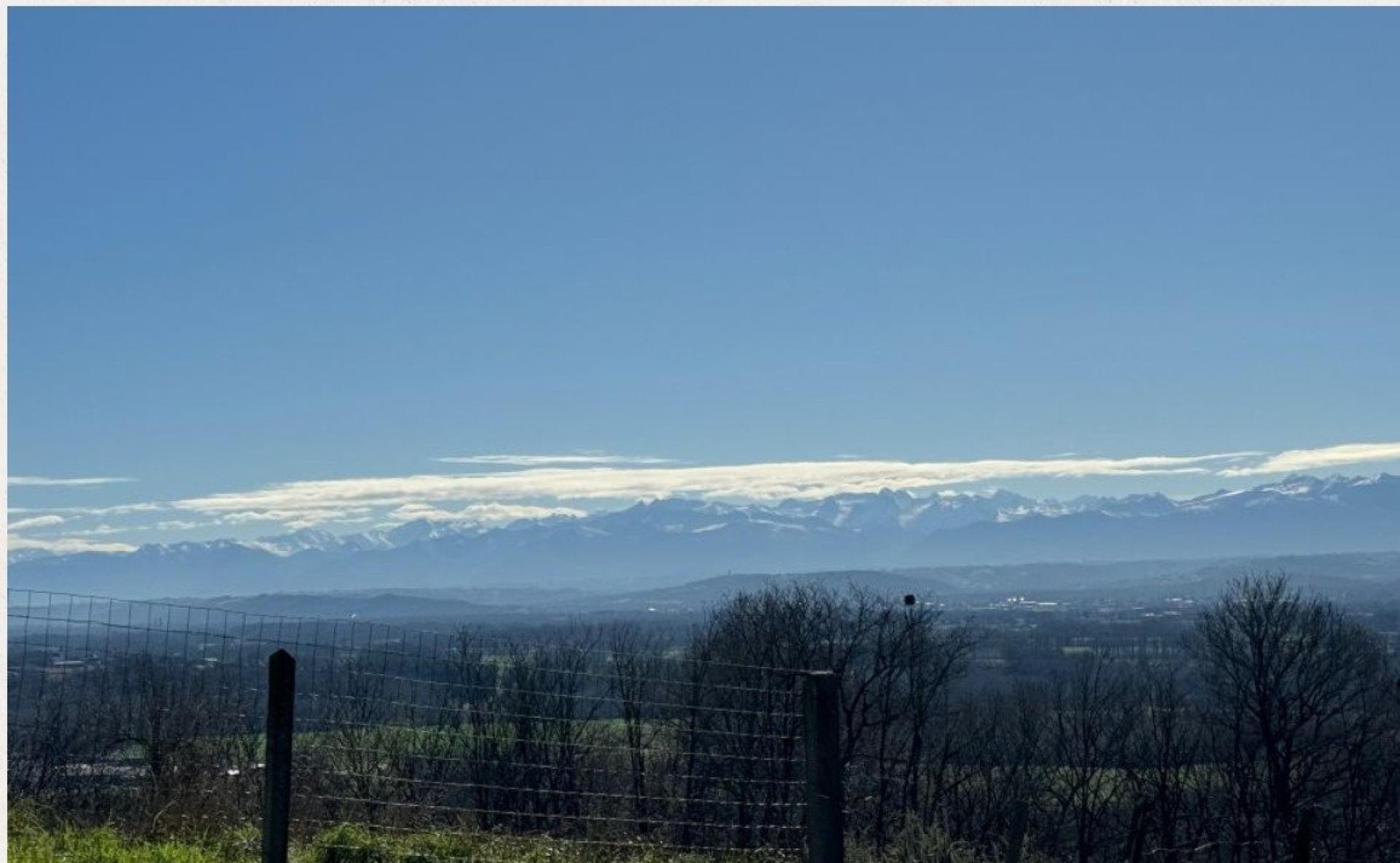 Photo 7 of the listing.