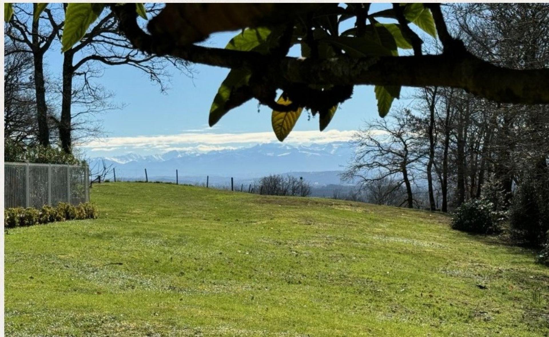 Photo 10 of the listing.