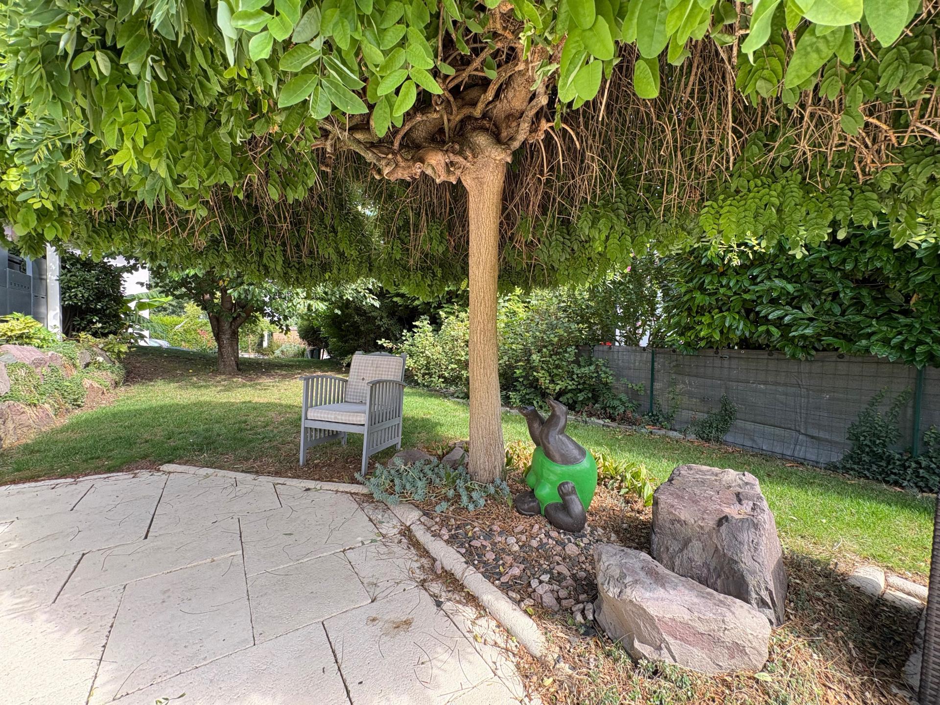 Photo 3 de l'annonce.