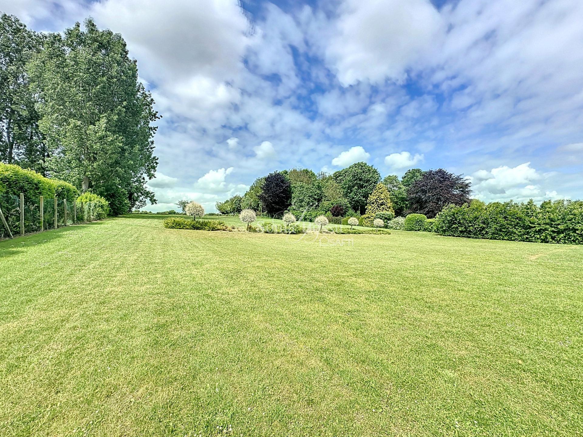 Foto 11 del anuncio.