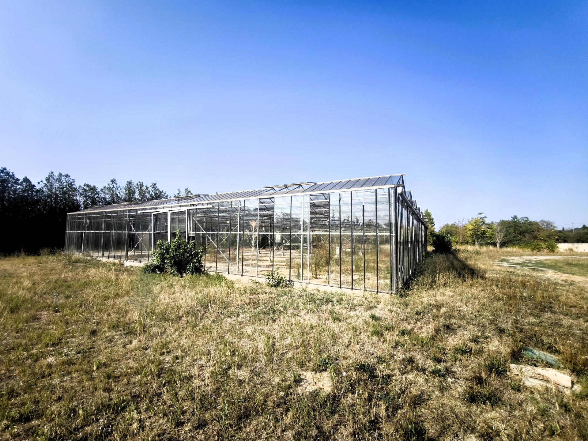 Photo 9 de l'annonce.