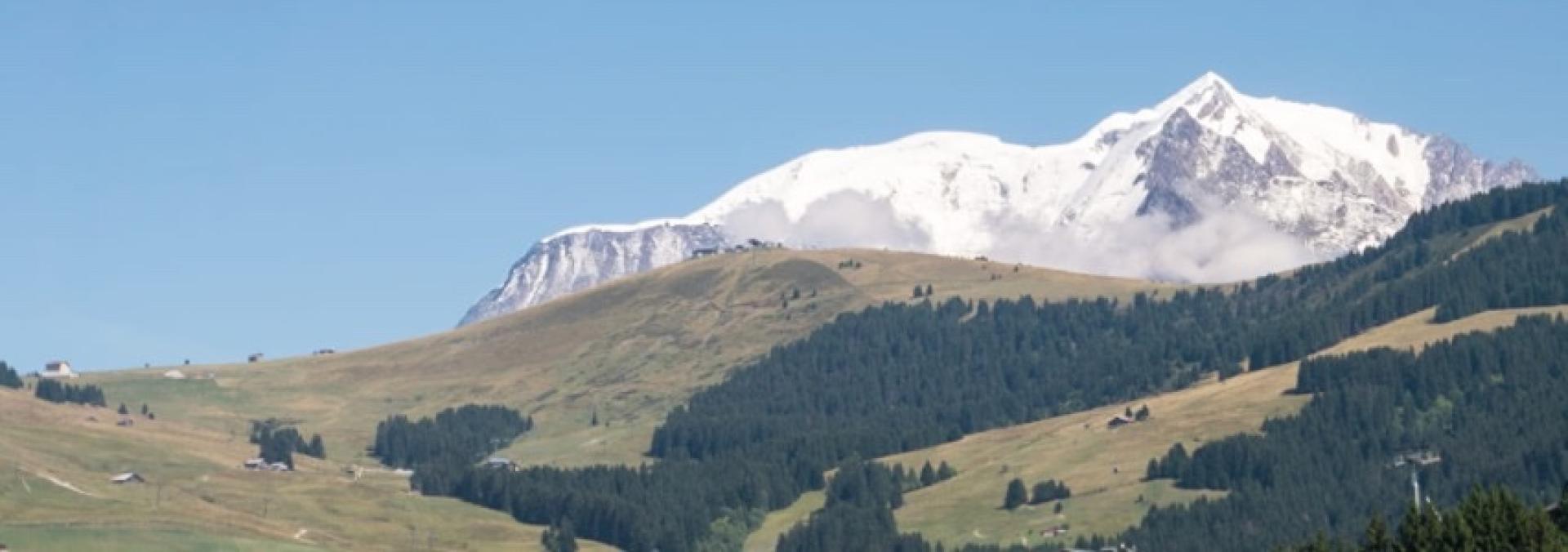 Photo 3 de l'annonce.