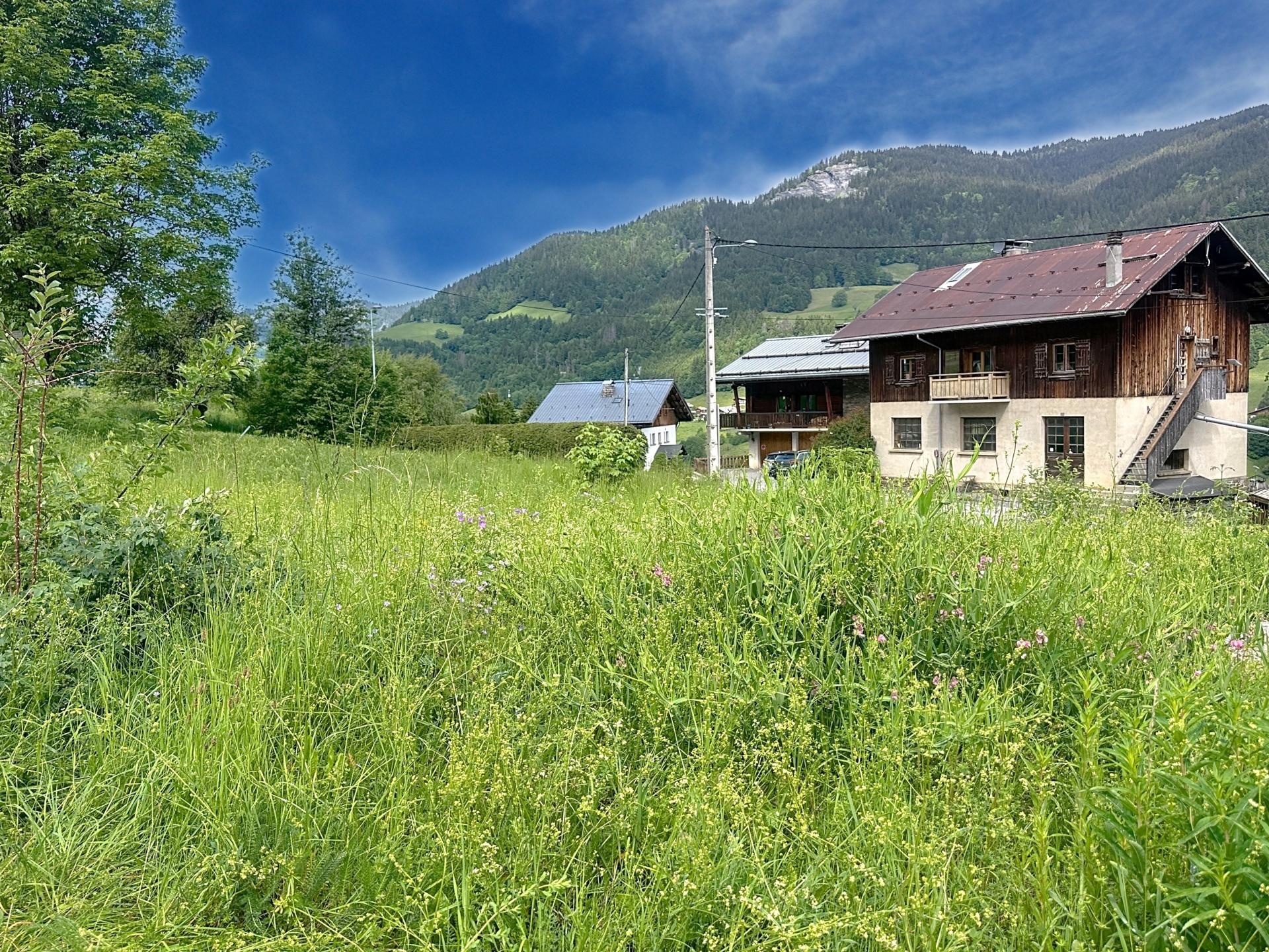 Photo 2 de l'annonce.