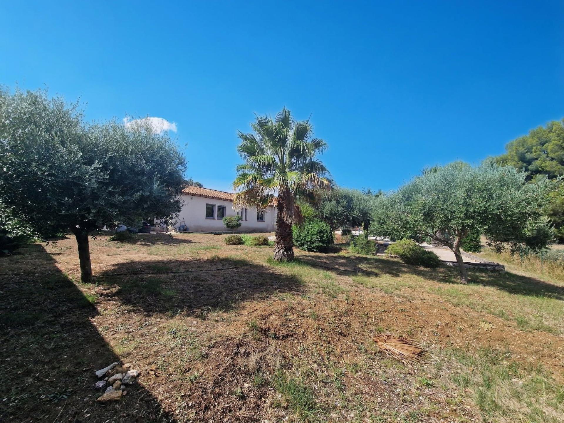 Photo 3 de l'annonce.