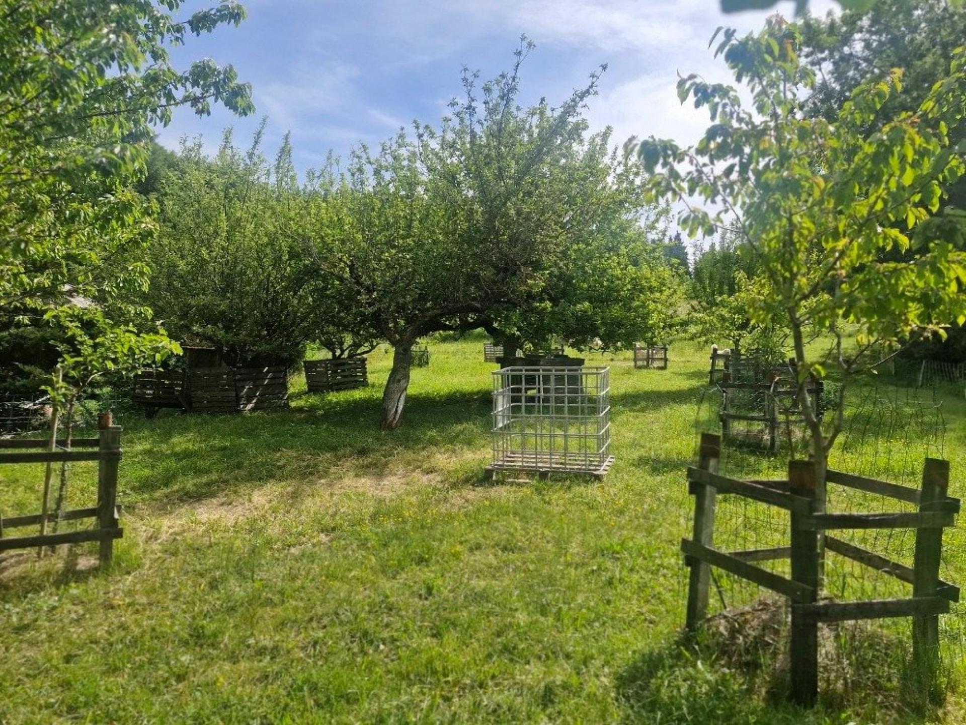 Photo 11 de l'annonce.