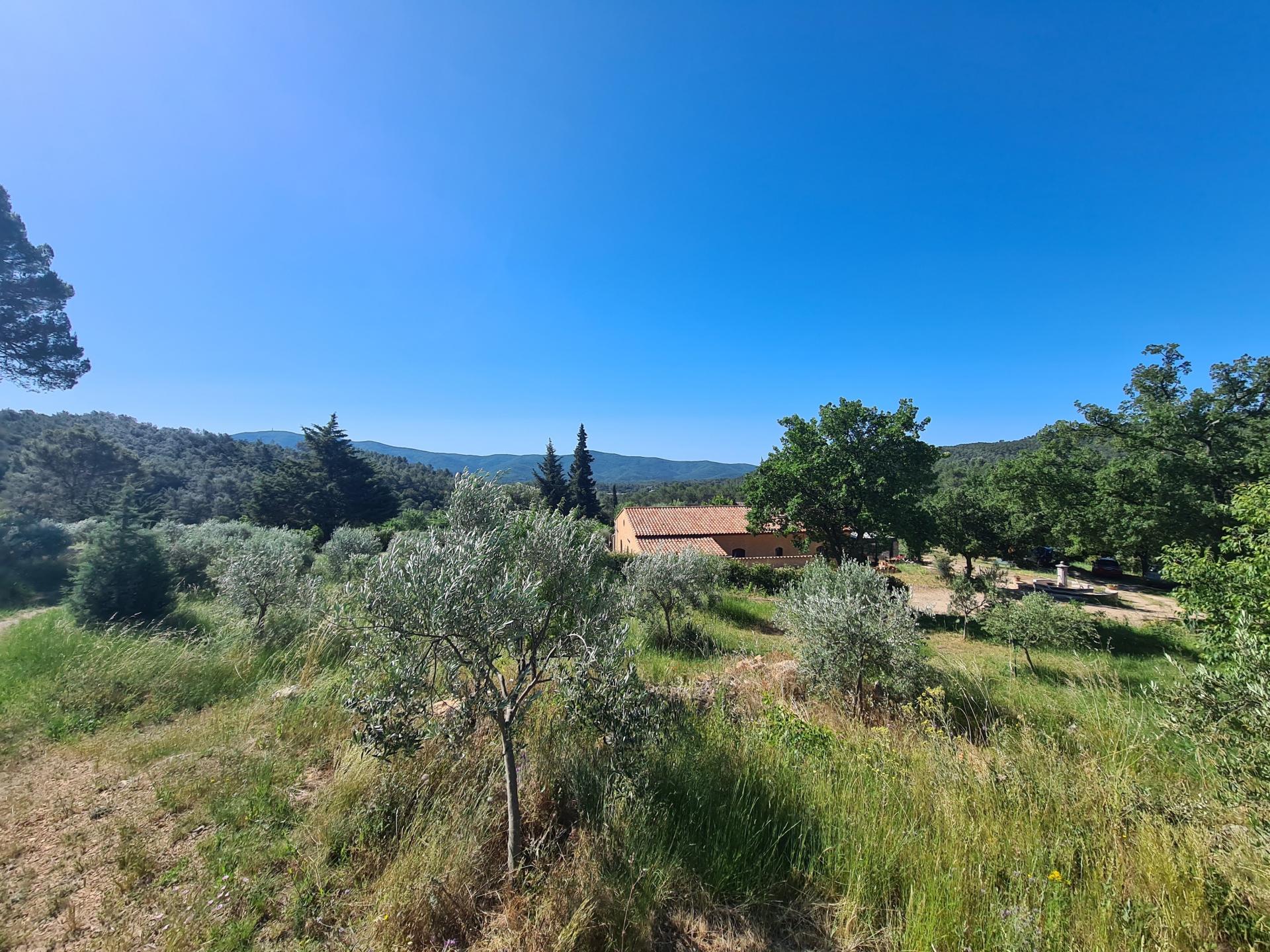 Photo 11 de l'annonce.