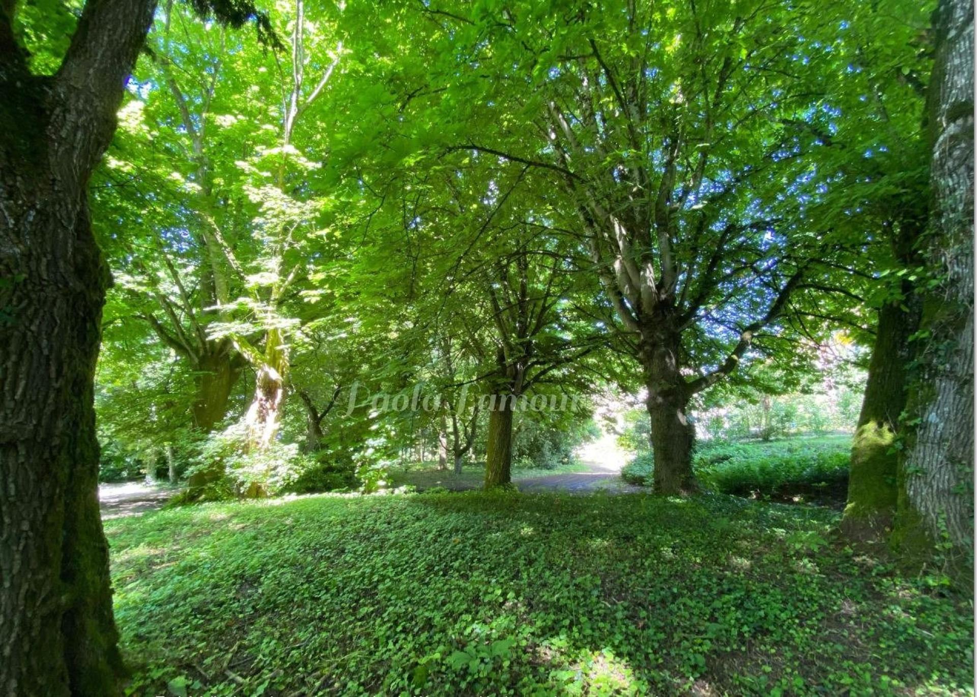 Photo 17 of the listing.