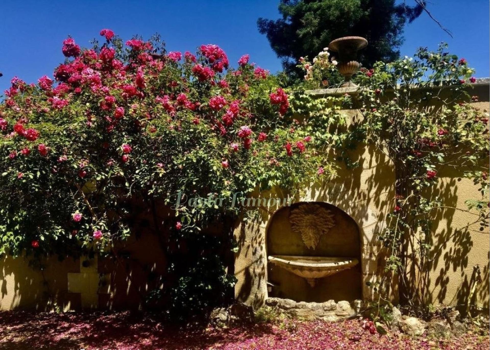 Photo 13 of the listing.