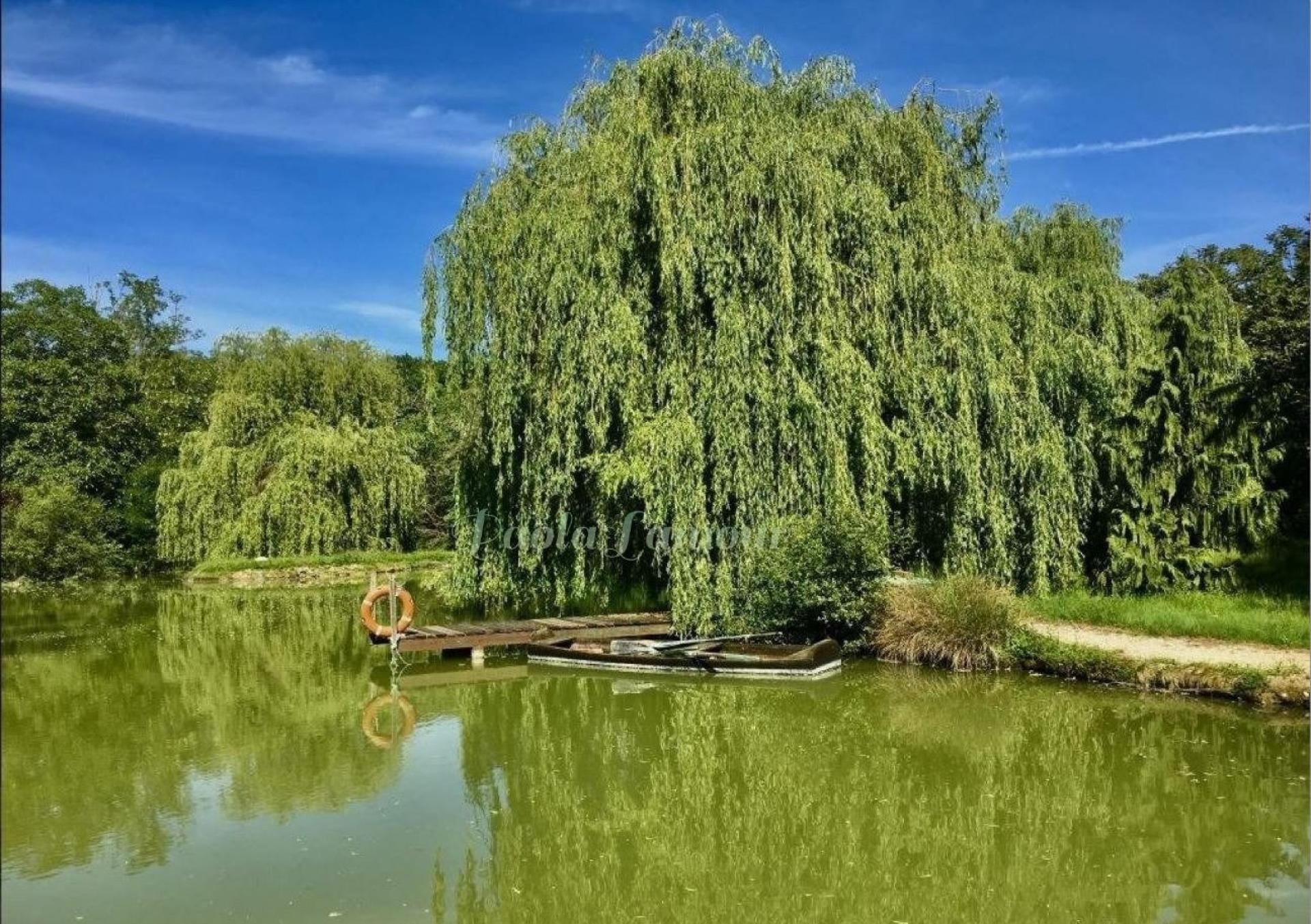 Photo 18 of the listing.