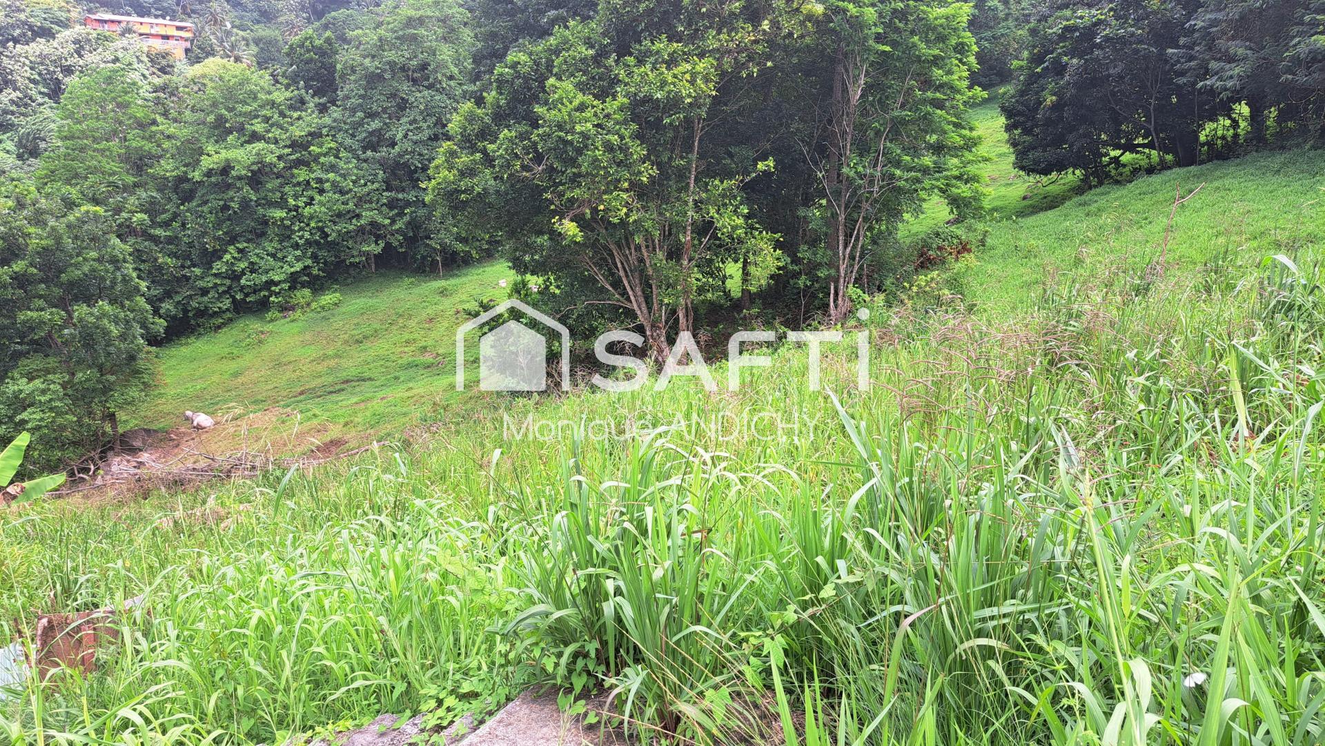 Photo-terrain