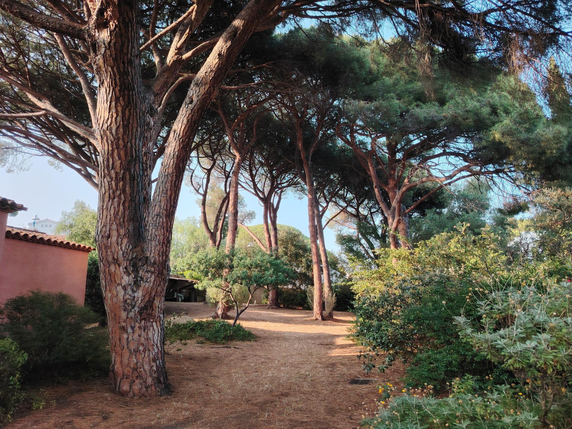 Photo 2 de l'annonce.