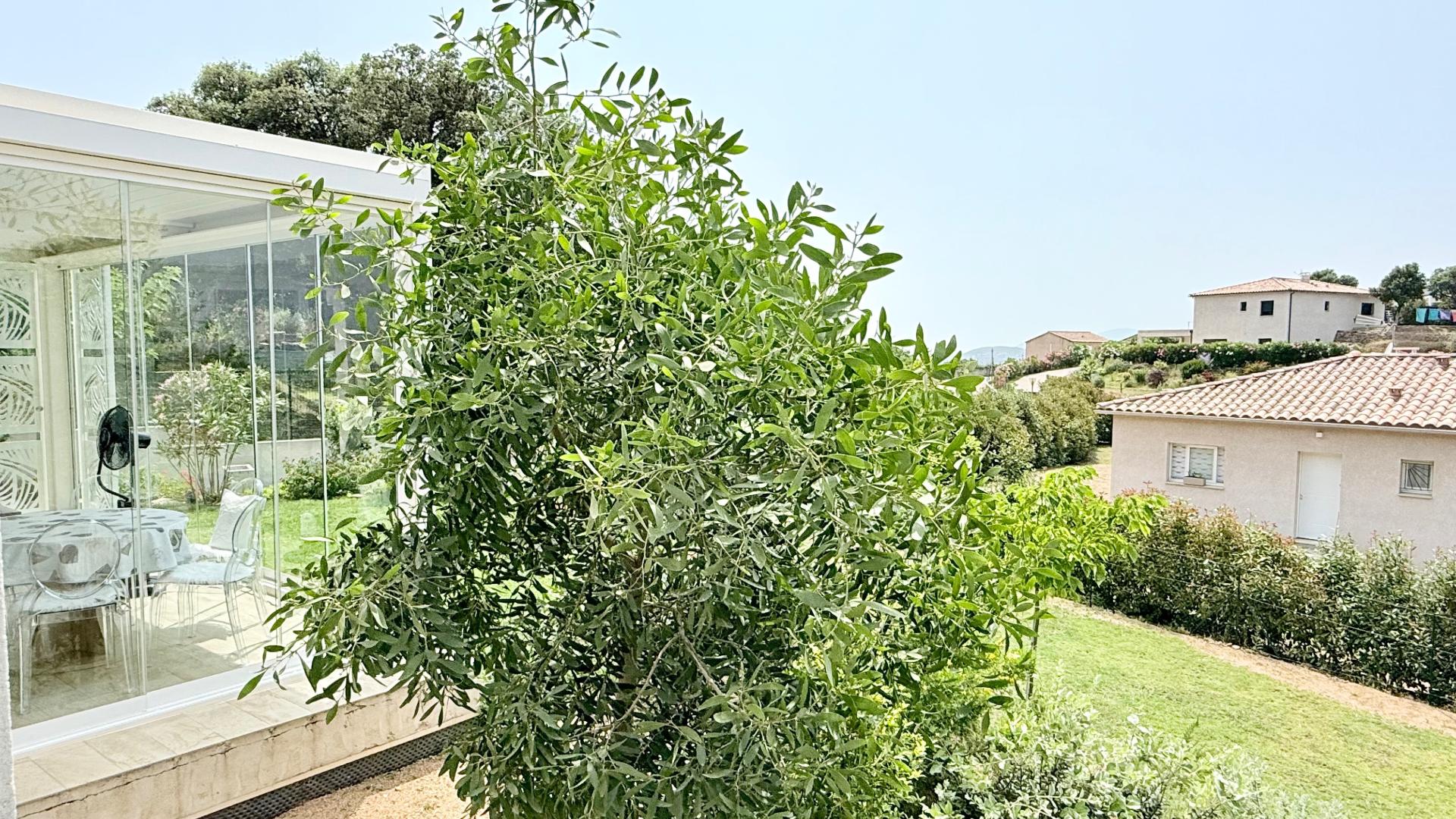 Photo 35 of the listing.