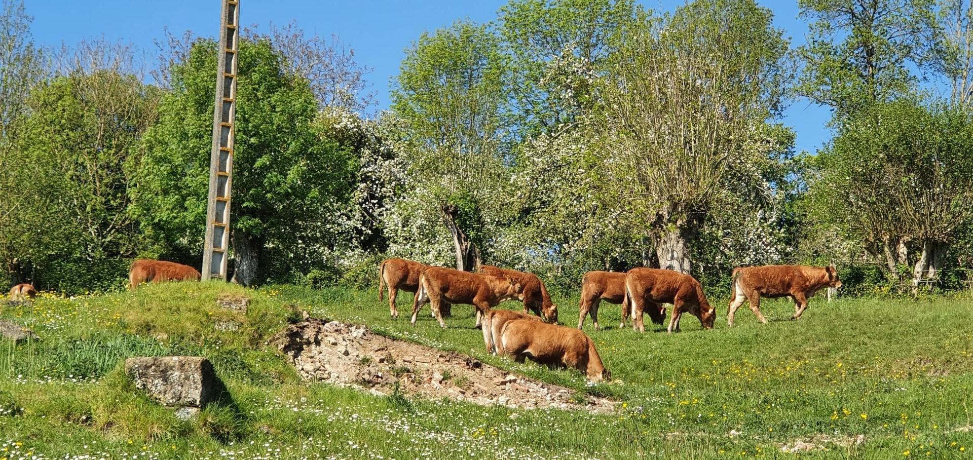 Photo 17 of the listing.