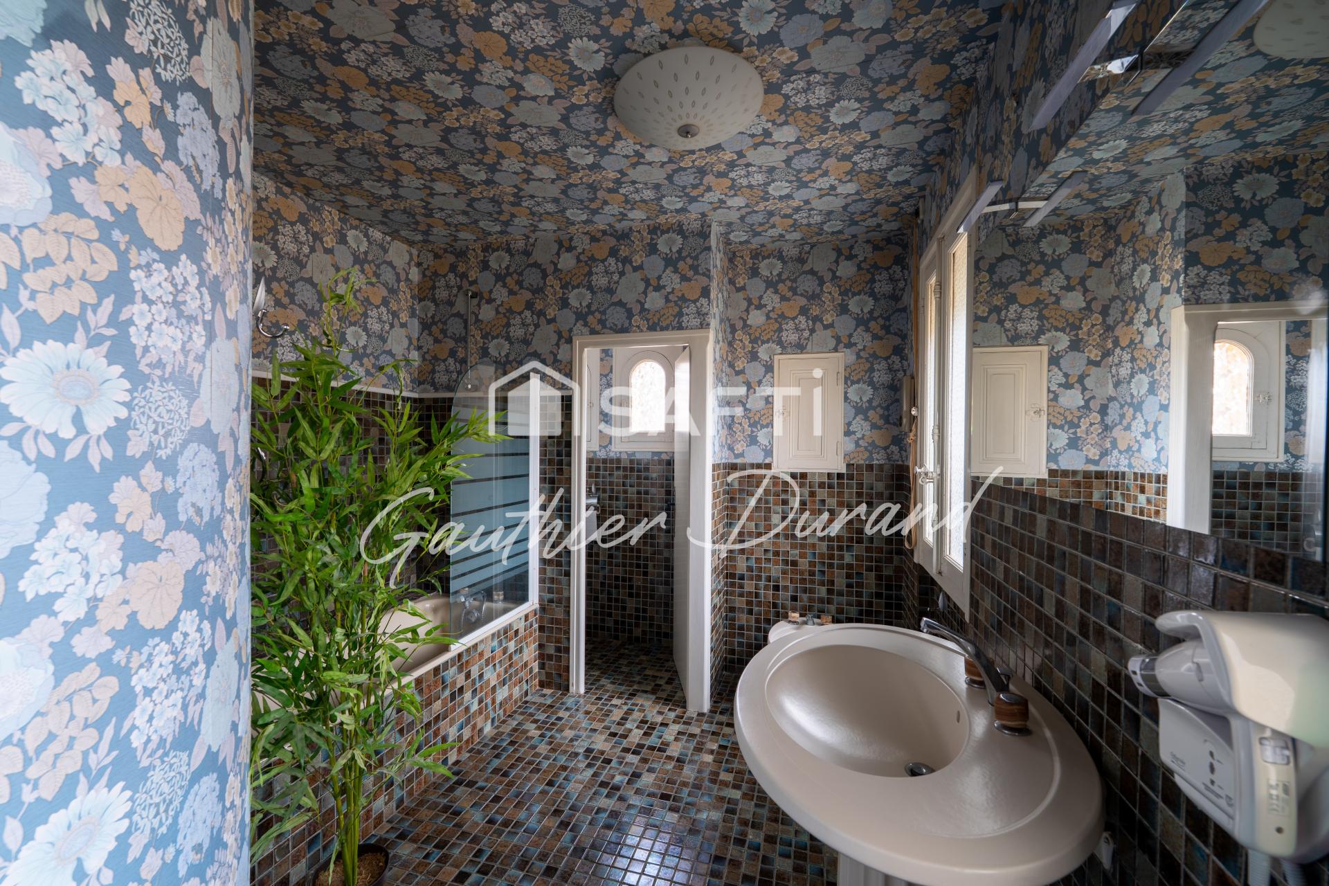 Photo 13 de l'annonce.