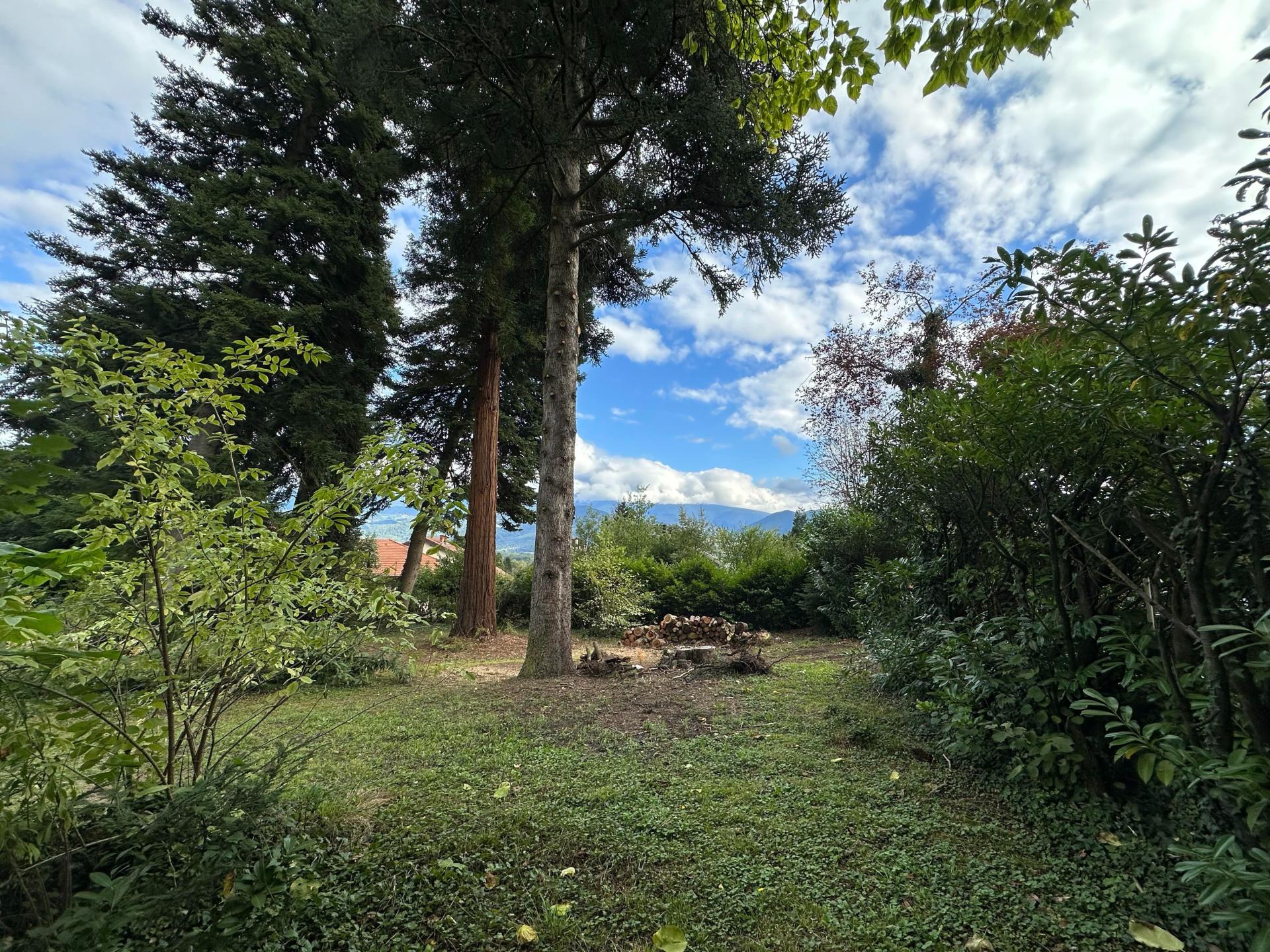 Photo 4 de l'annonce.