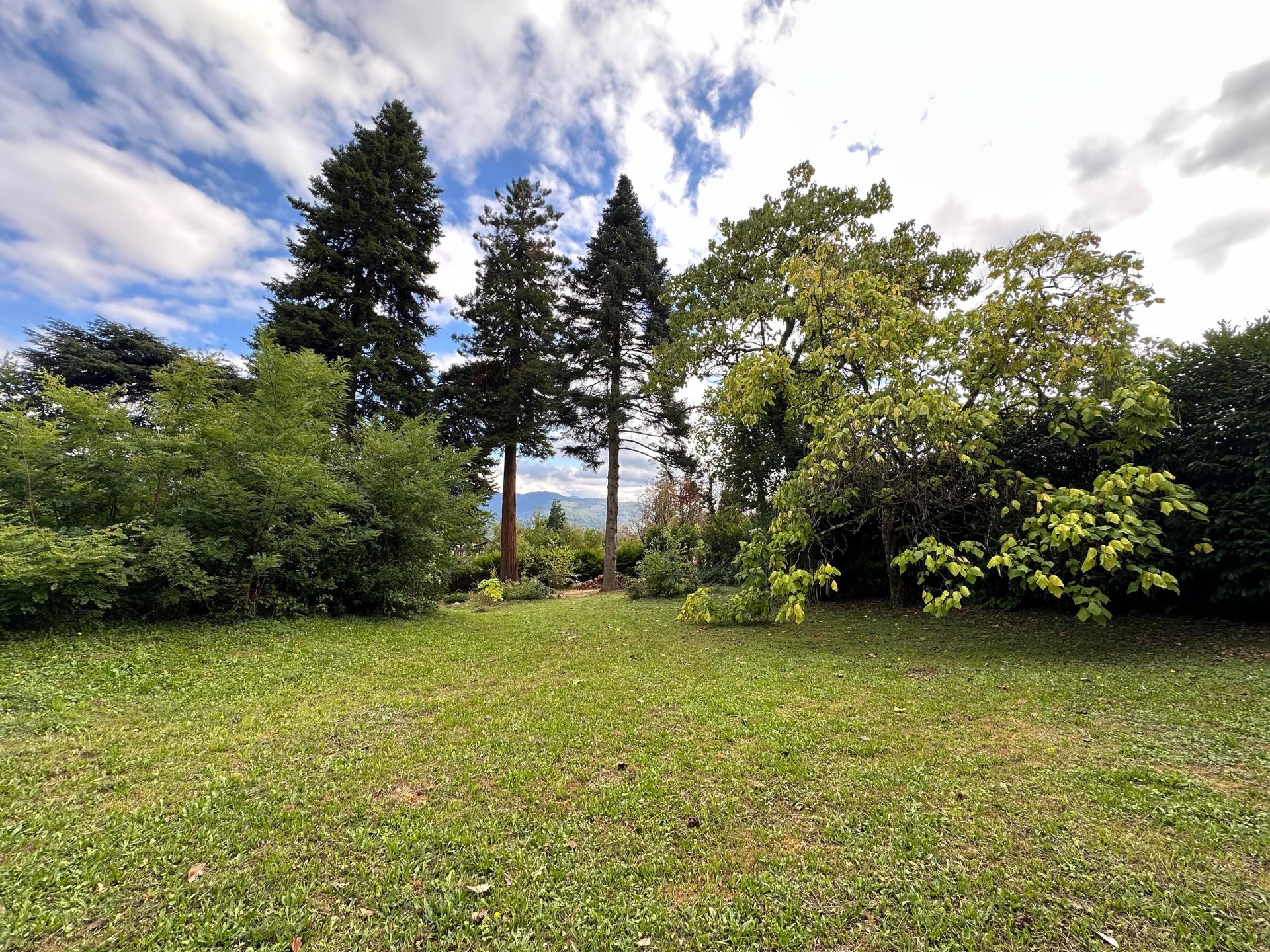 Photo 2 de l'annonce.