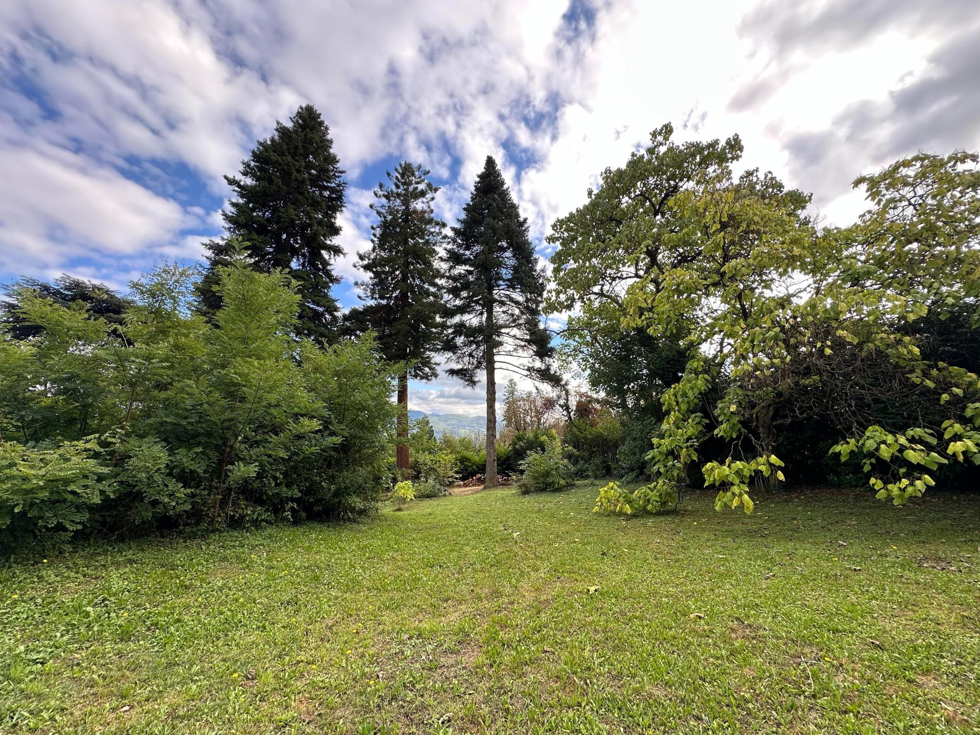 Photo 7 de l'annonce.