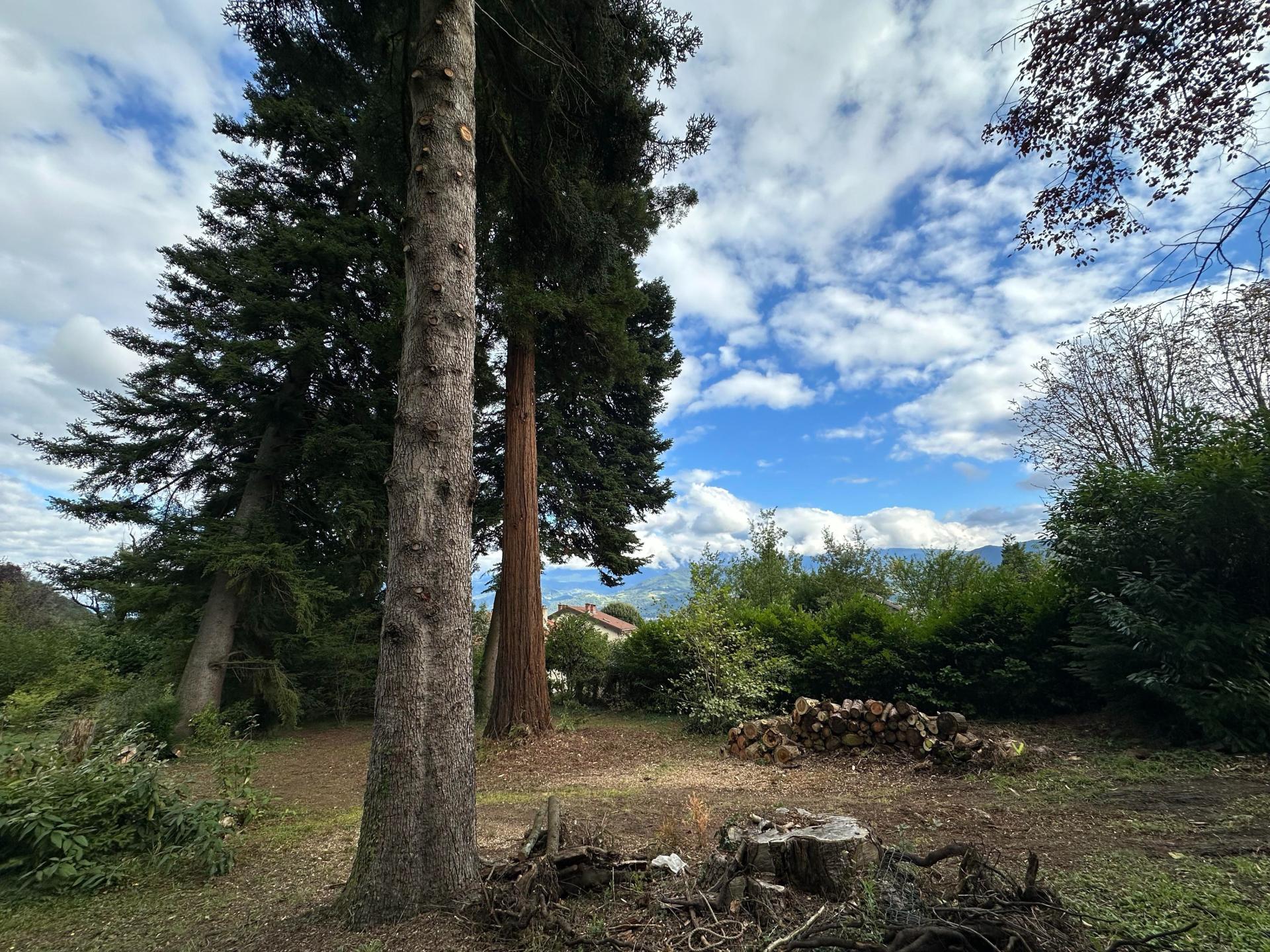 Photo 3 de l'annonce.