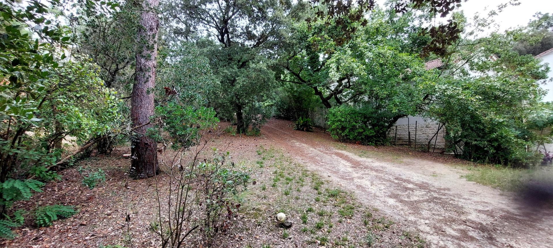 Photo 9 de l'annonce.