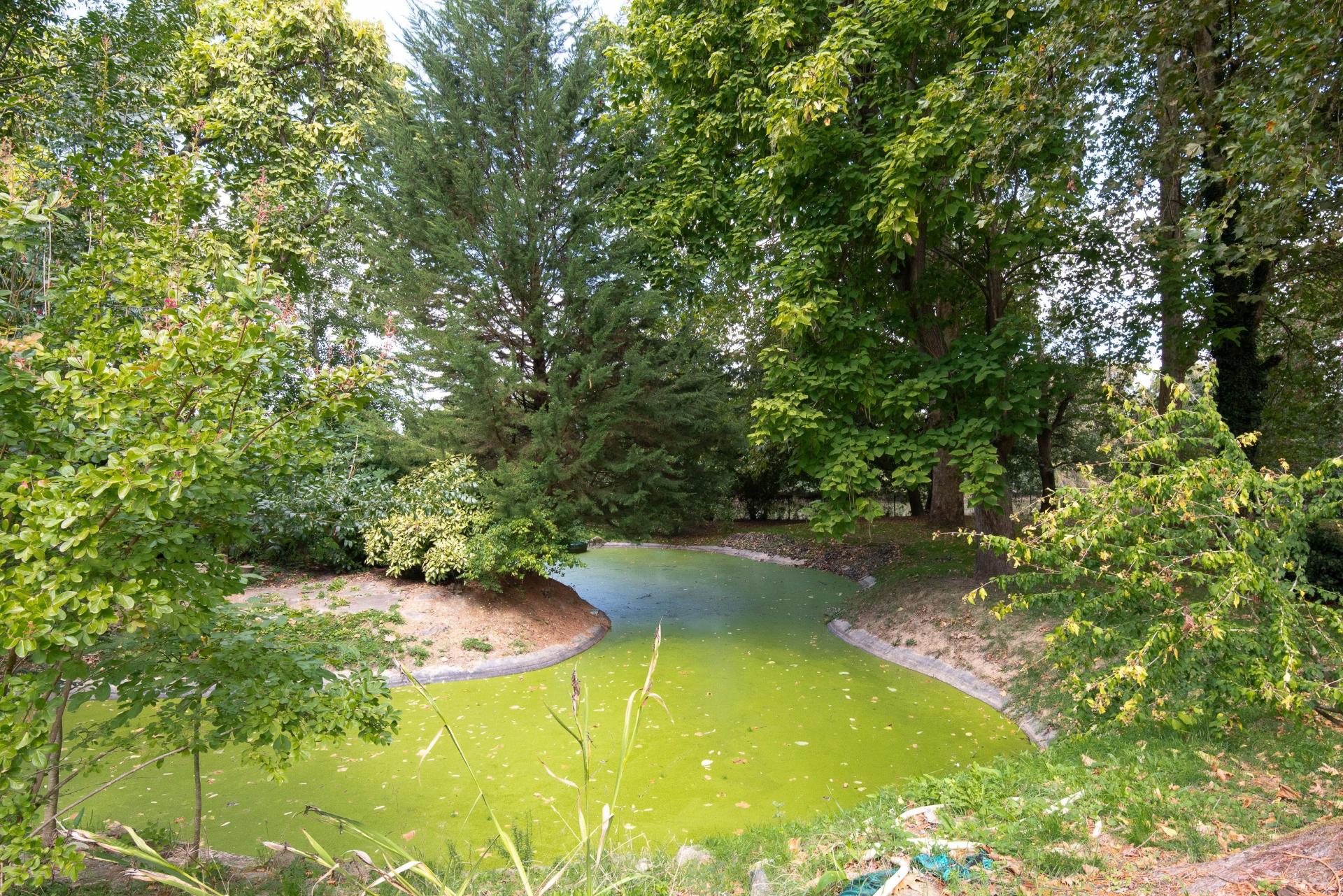 Photo 5 of the listing.