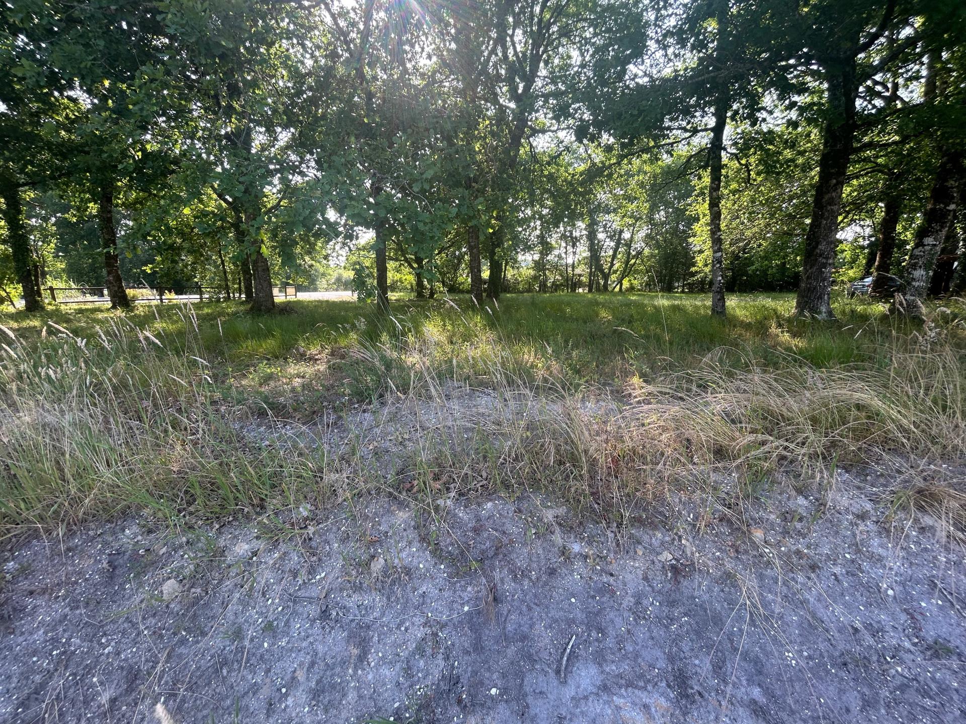 Photo-terrain