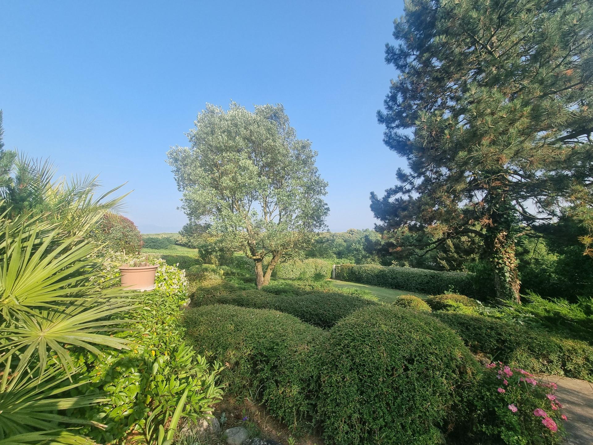 Photo 11 de l'annonce.