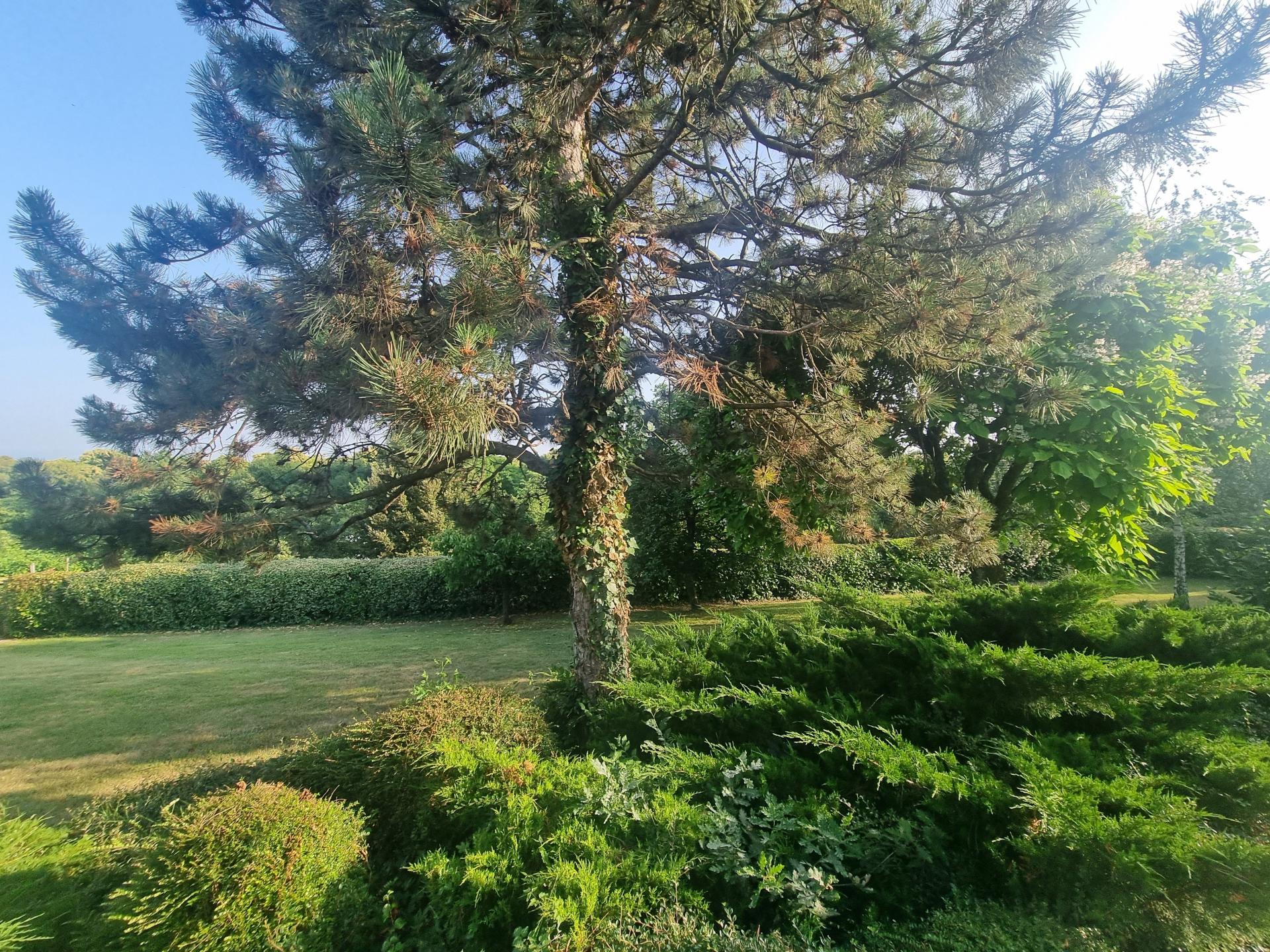 Photo 13 de l'annonce.