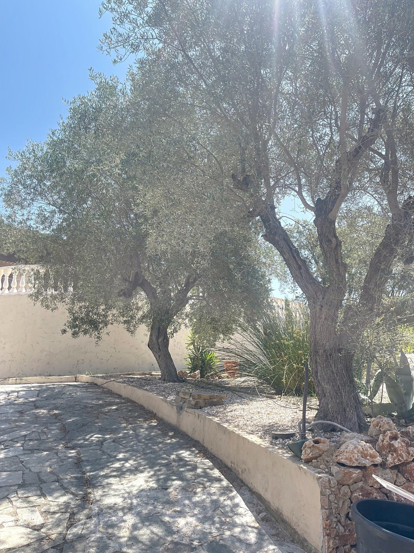 Photo 16 de l'annonce.