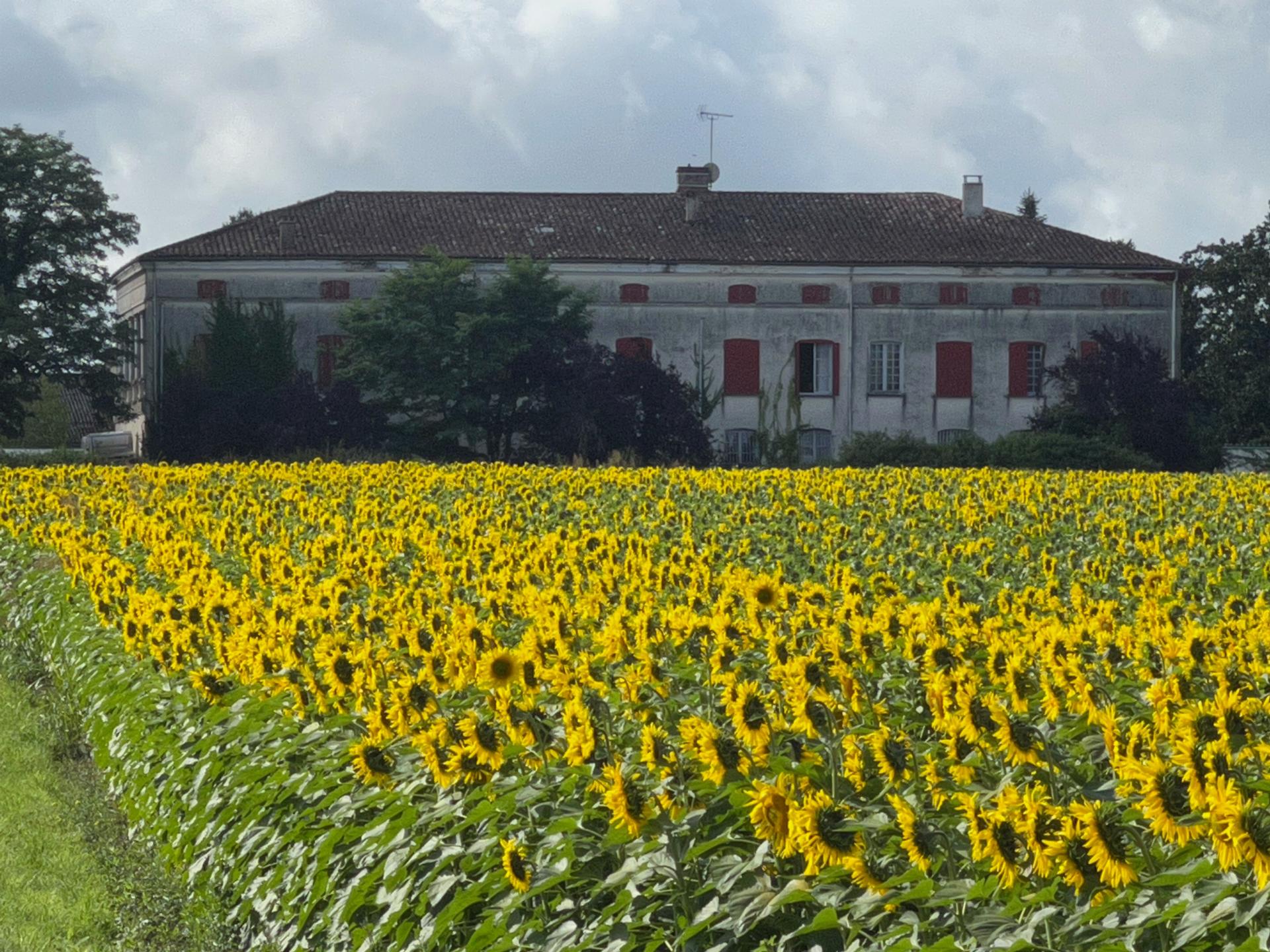 Photo 10 de l'annonce.