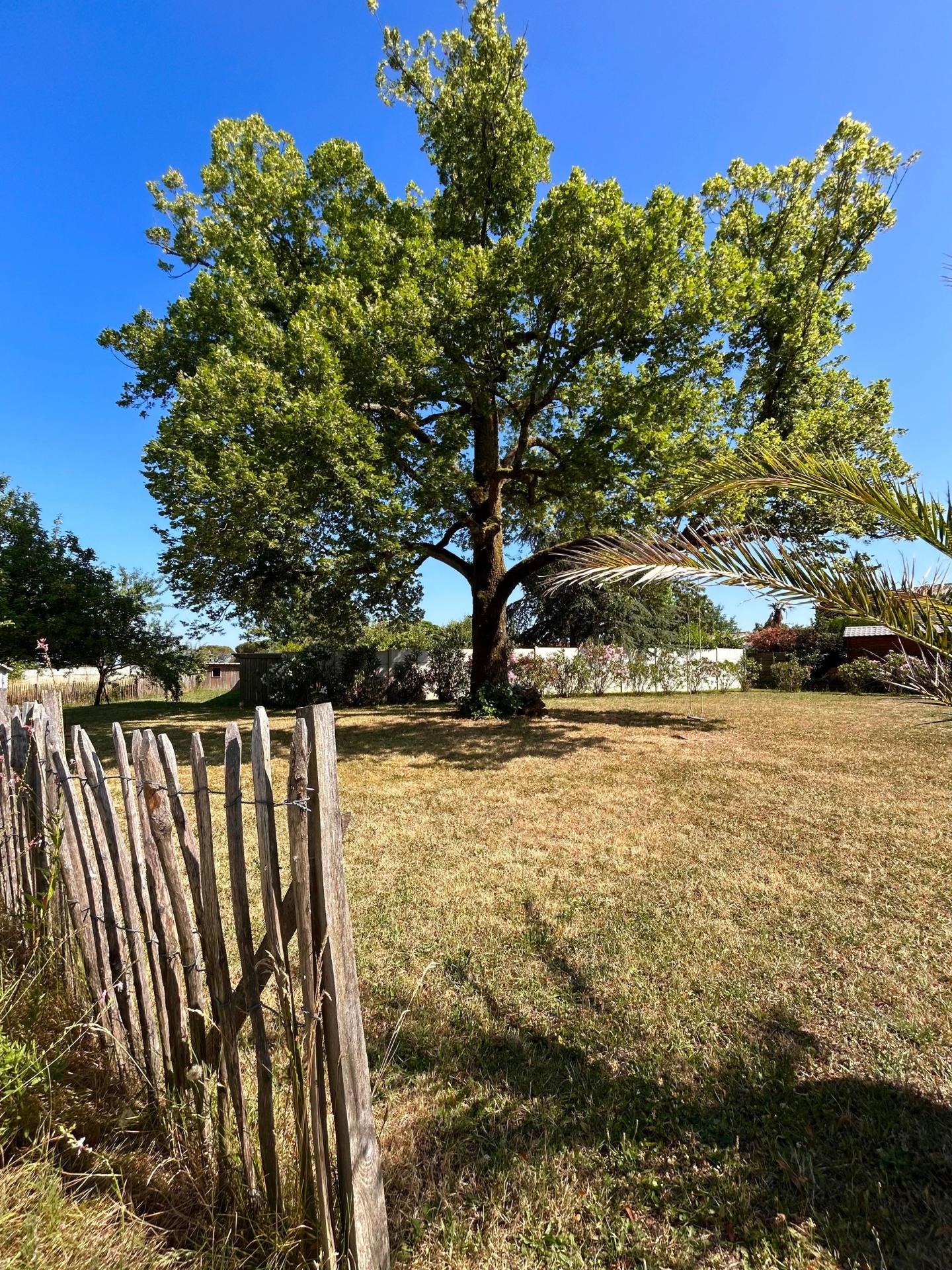 Photo 20 de l'annonce.