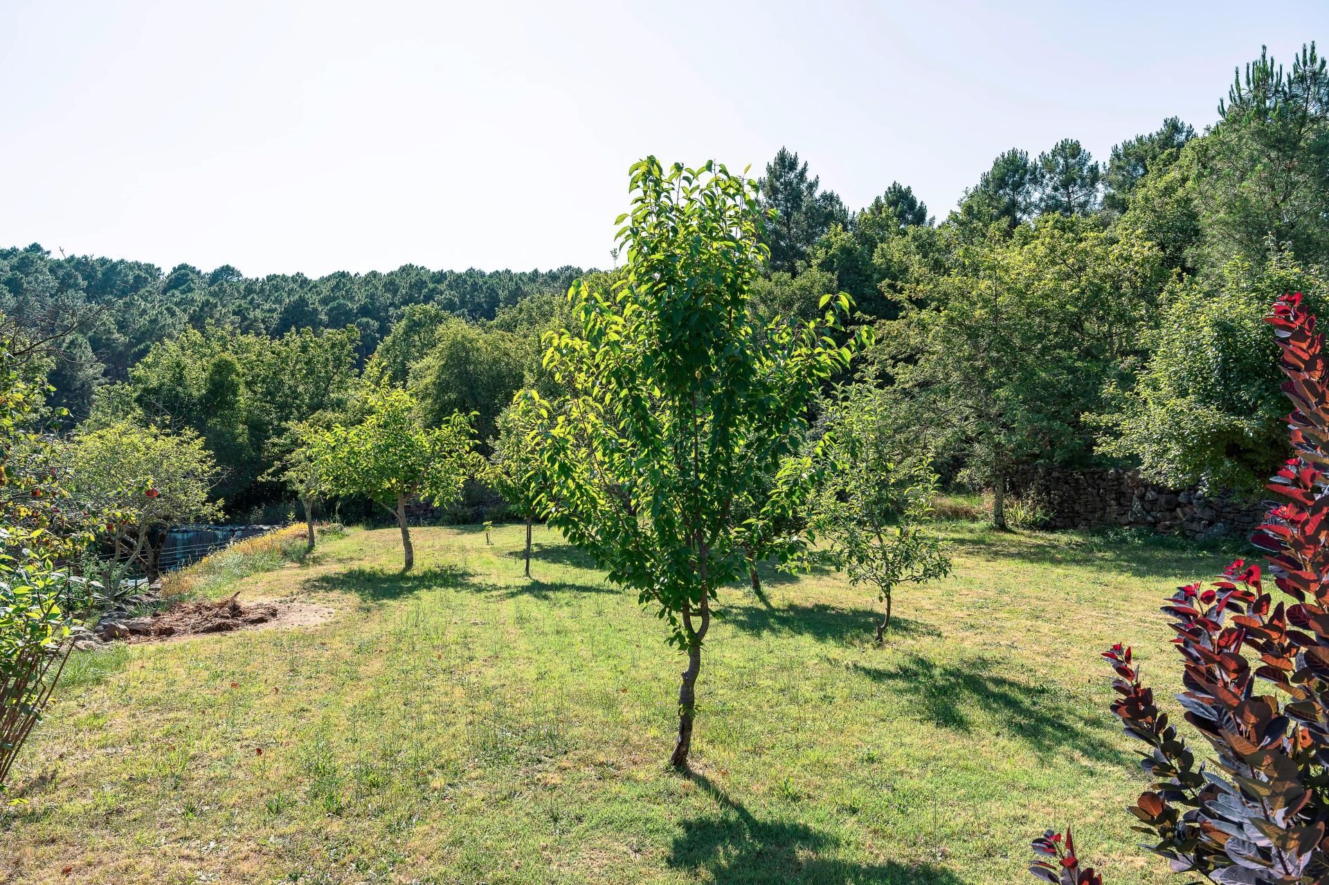 Photo 11 of the listing.